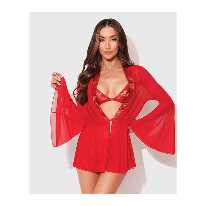 Dragon Sheer Mesh Robe w Satin Triangle Top & G-String 3 pc Set - Red 1.png