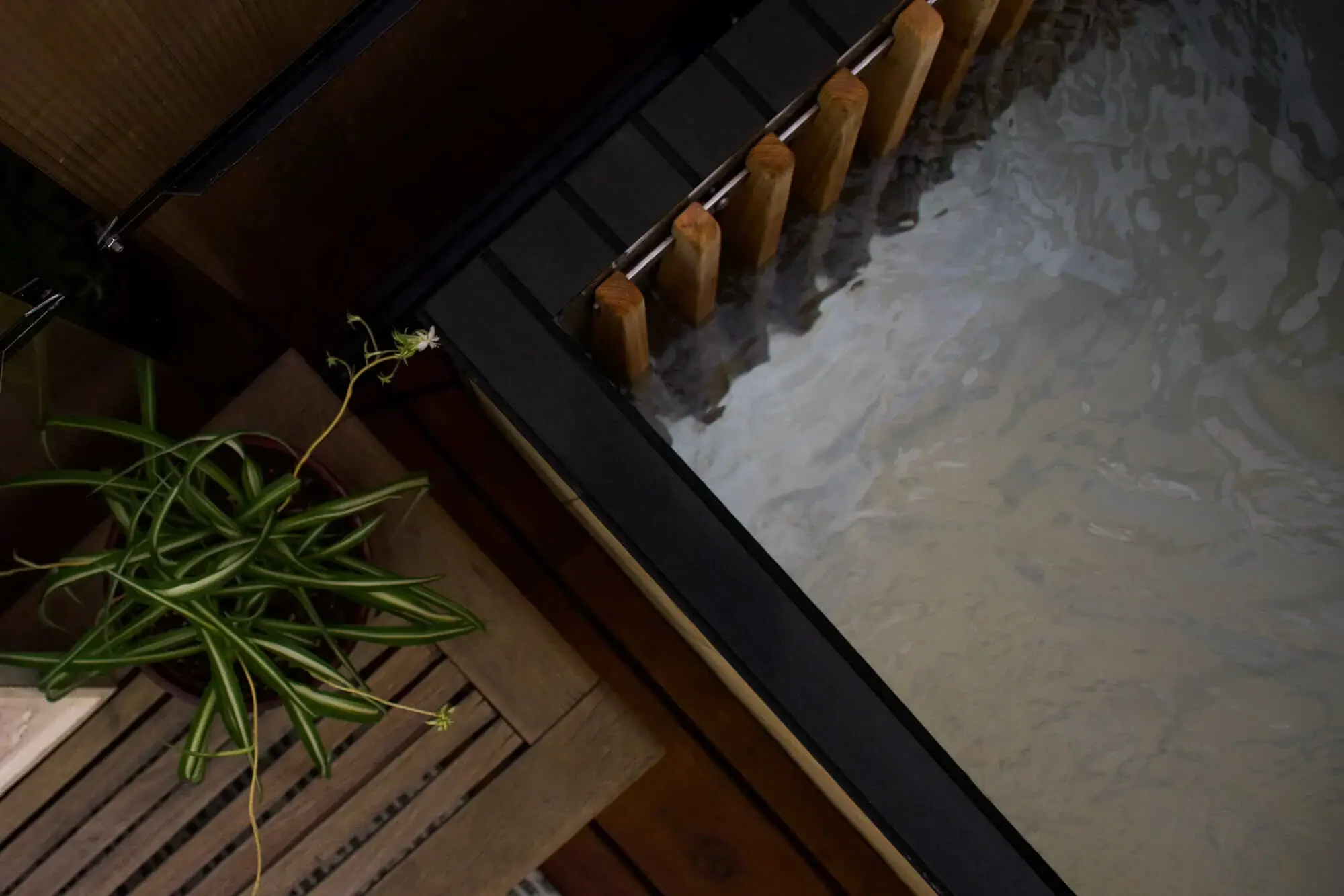 How to Take a Cold Plunge and Relax in Our Dry Sauna