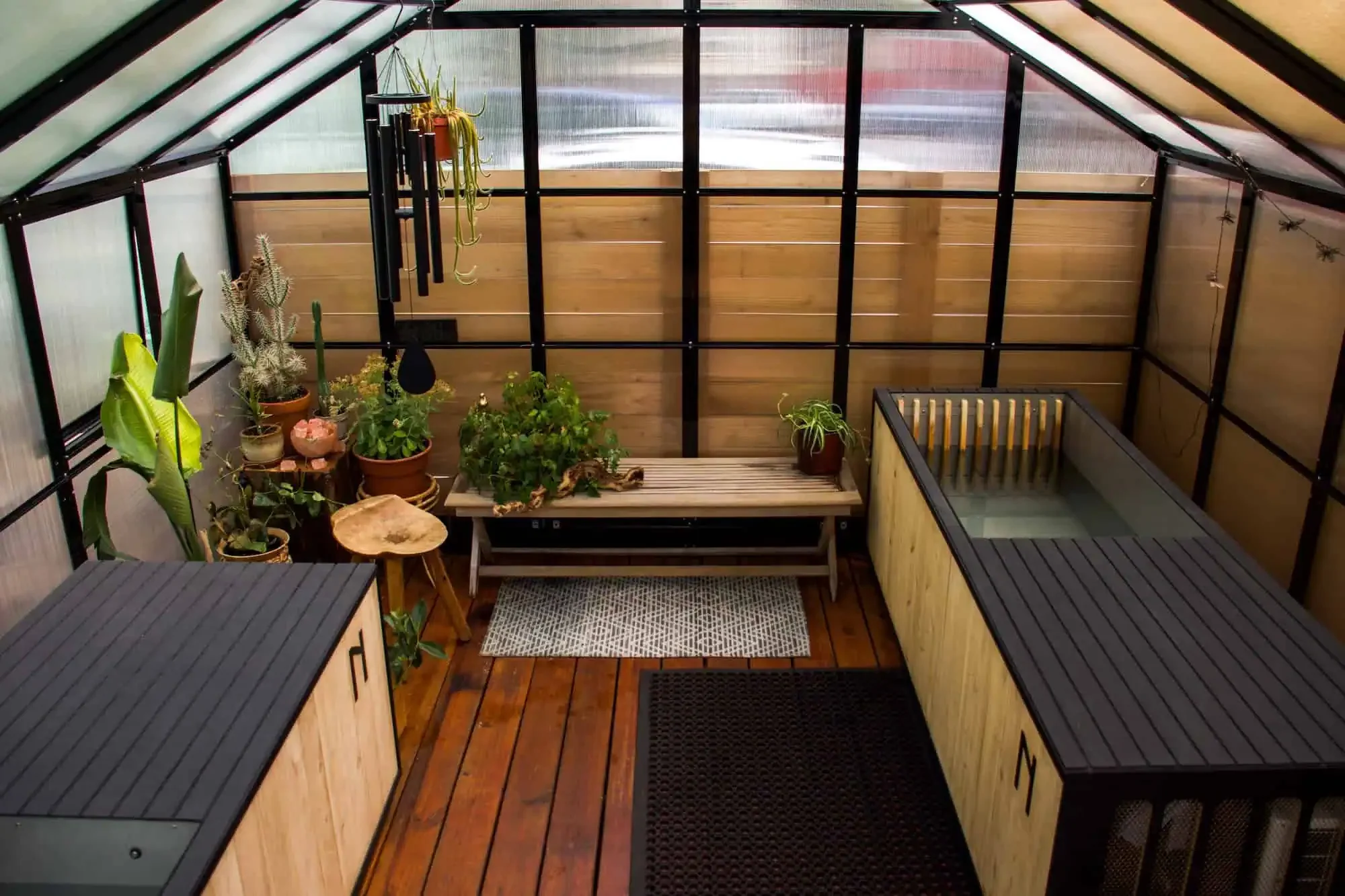 What does the cold plunge do to your body?