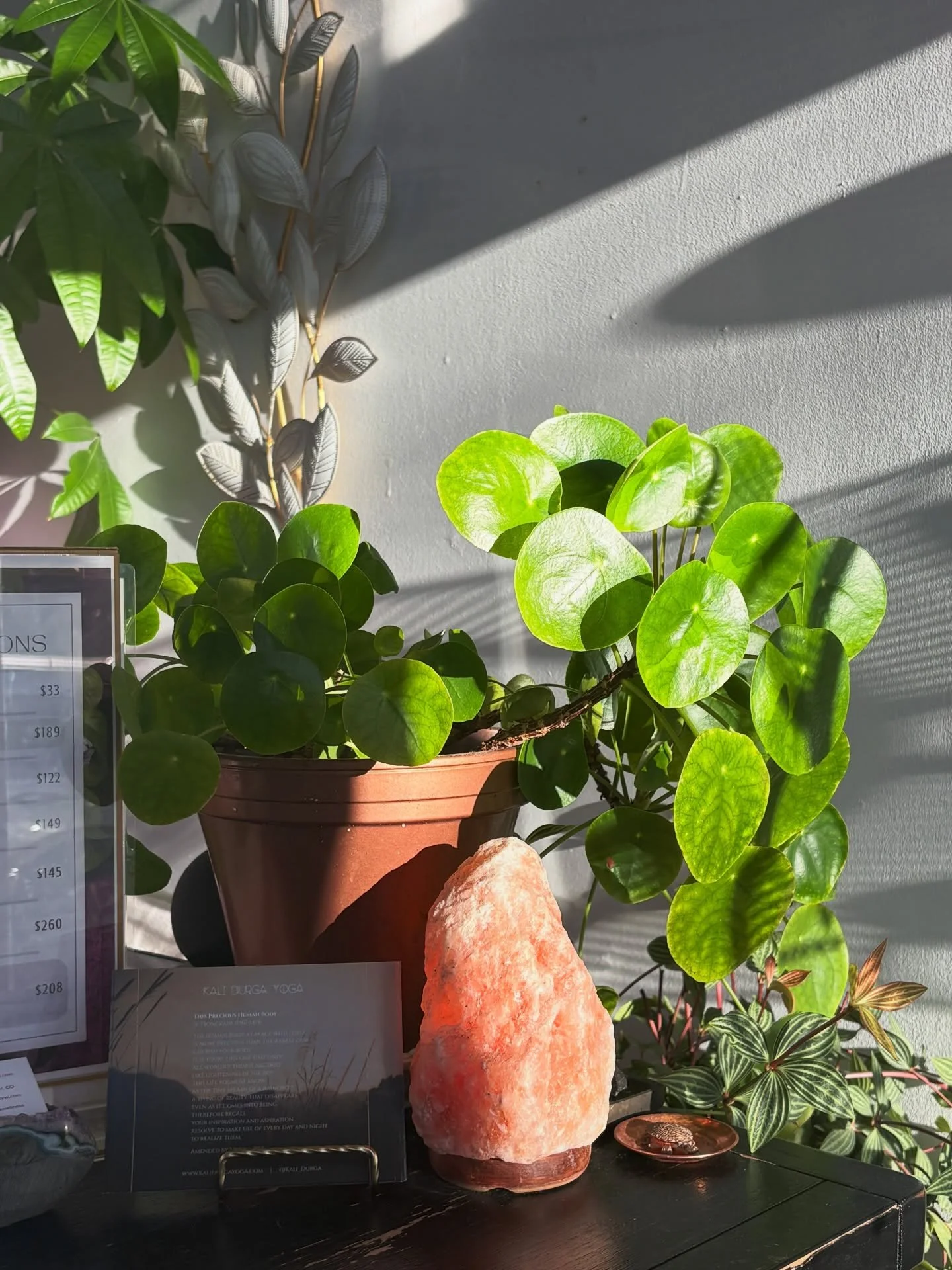 The light during our morning sessions is simply divine ✨☀️

Did you know we are open Tuesday and Friday mornings from 8am-12pm?? 👀 Start your day grounded in blissful rejuvenation after a relaxing sauna and invigorating cold plunge! 😌

Book your se