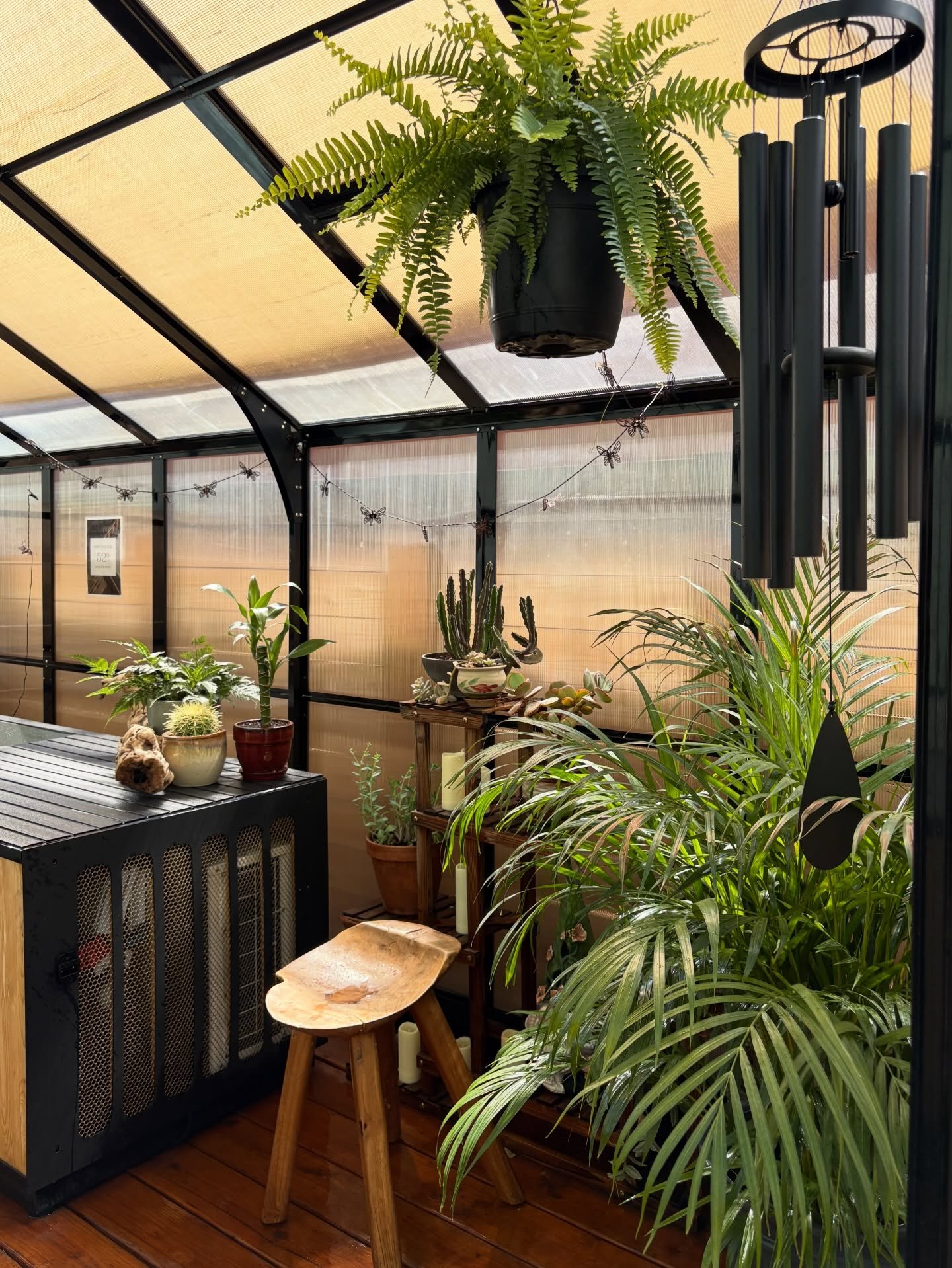 Our greenhouse is thriving and it feels like a reflection of this community 🌿🥹✨ Alive, growing, and full of energy!

With warmer weather on the way, don&rsquo;t forget that our cold plunges are the perfect reset after a good sweat! 

Bring a friend