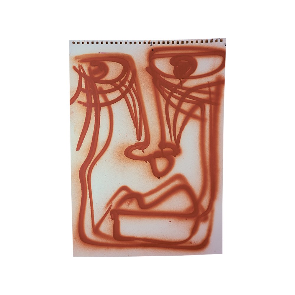 p44.jpg