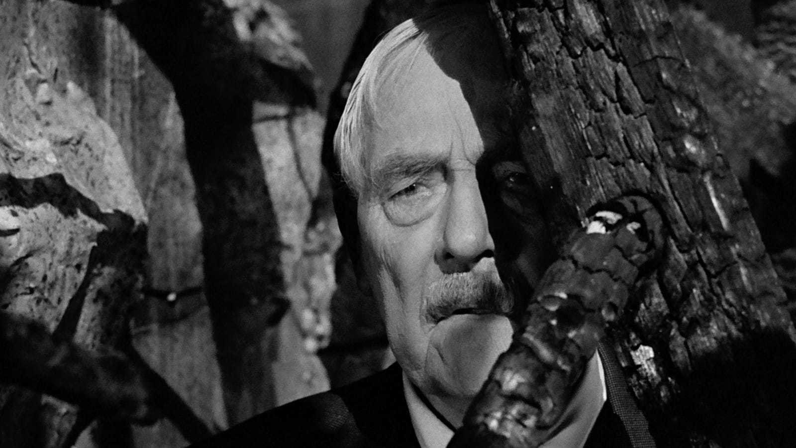 Film Still "Wild Strawberries" Ingmar Bergman