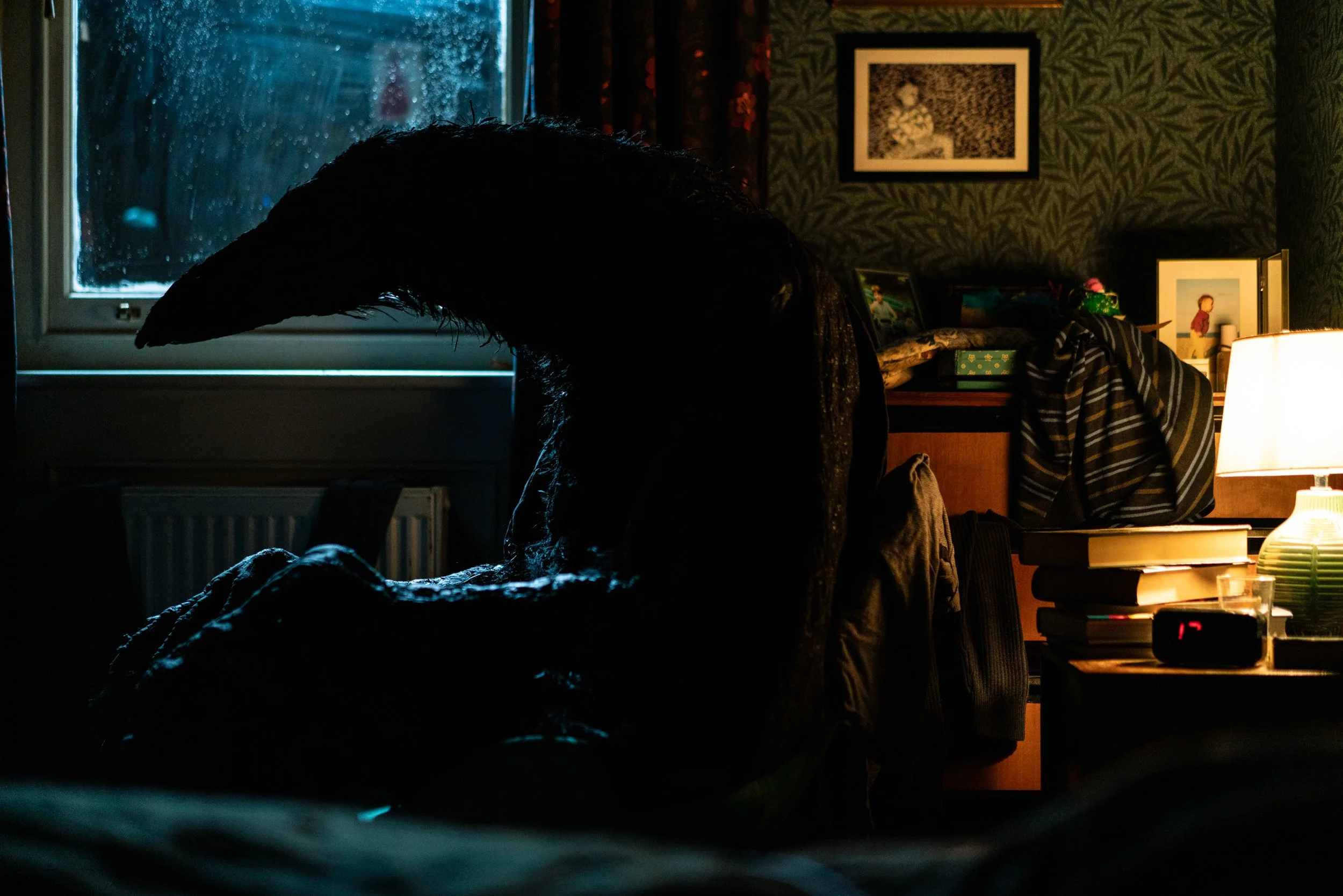 Filmfoto "Das Ding mit Federn" von Dylan Southern mit Benedict Cumberbatch