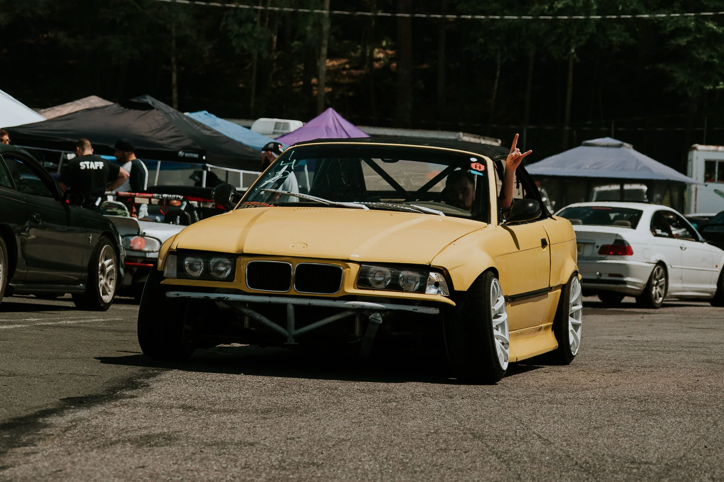 _DSC8874.jpg