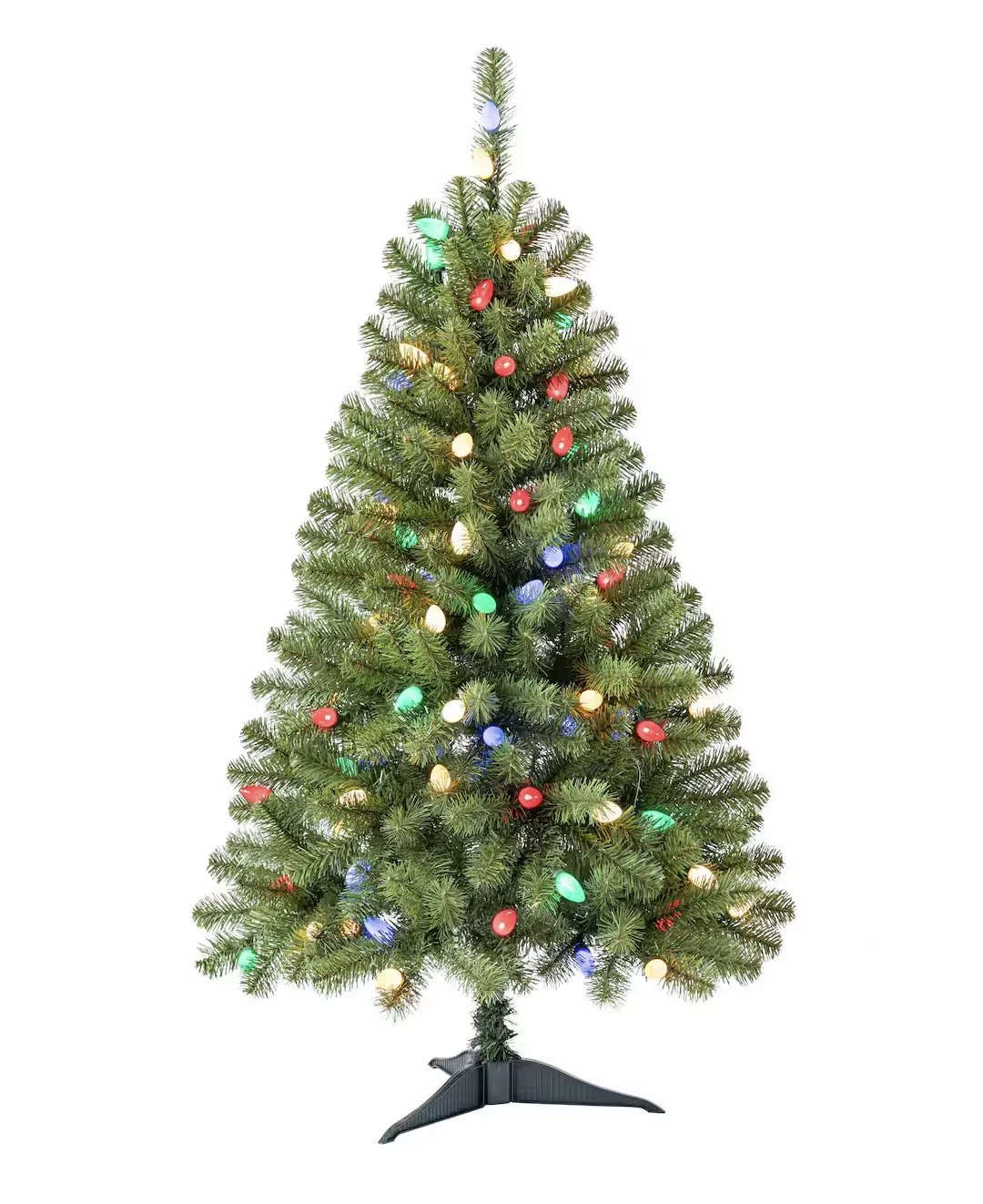 TommyTree Image 1.jpeg