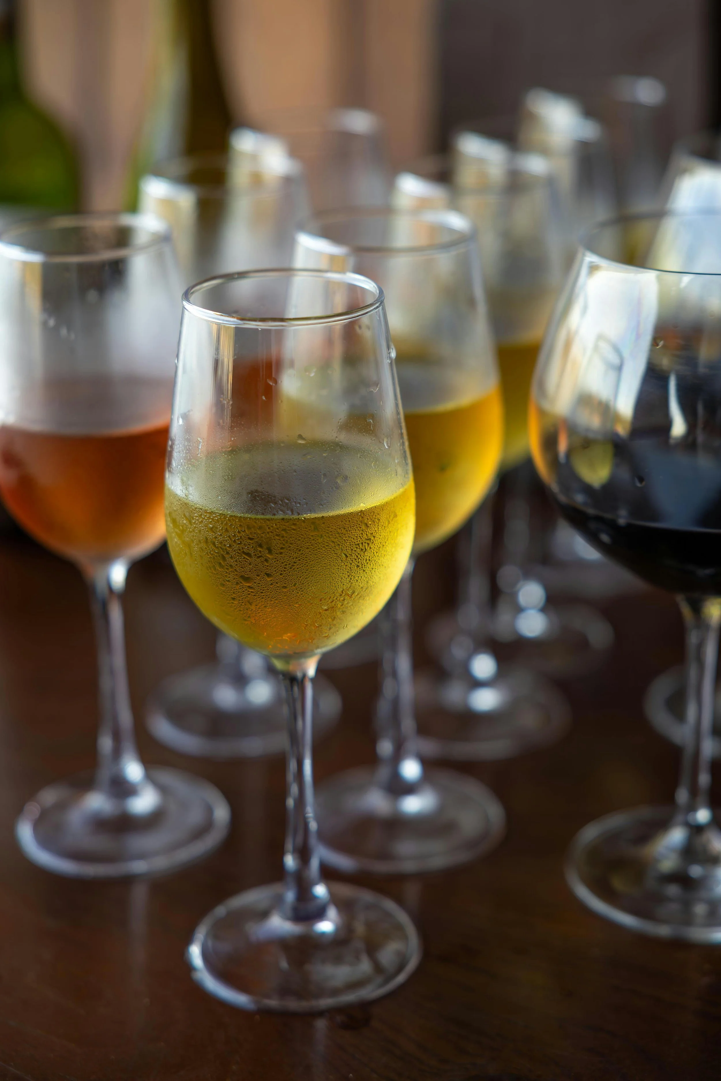 Sip with a Purpose