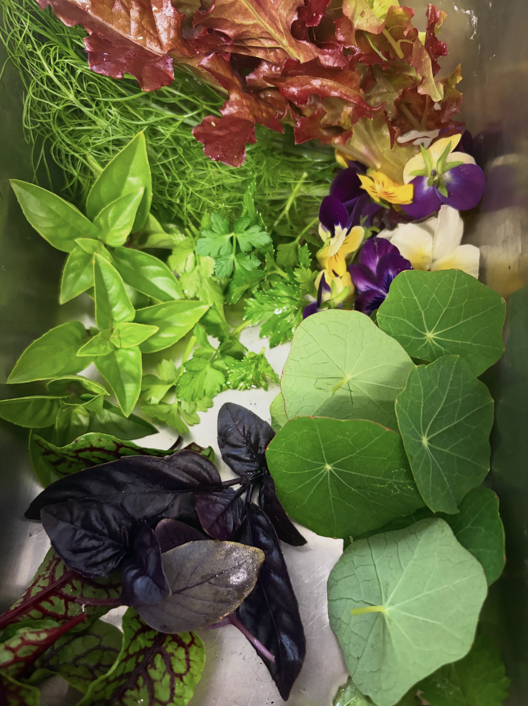 Fresh herbs, edible flowers, and vegetables