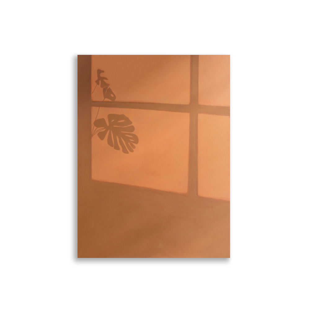 monstera shadow print