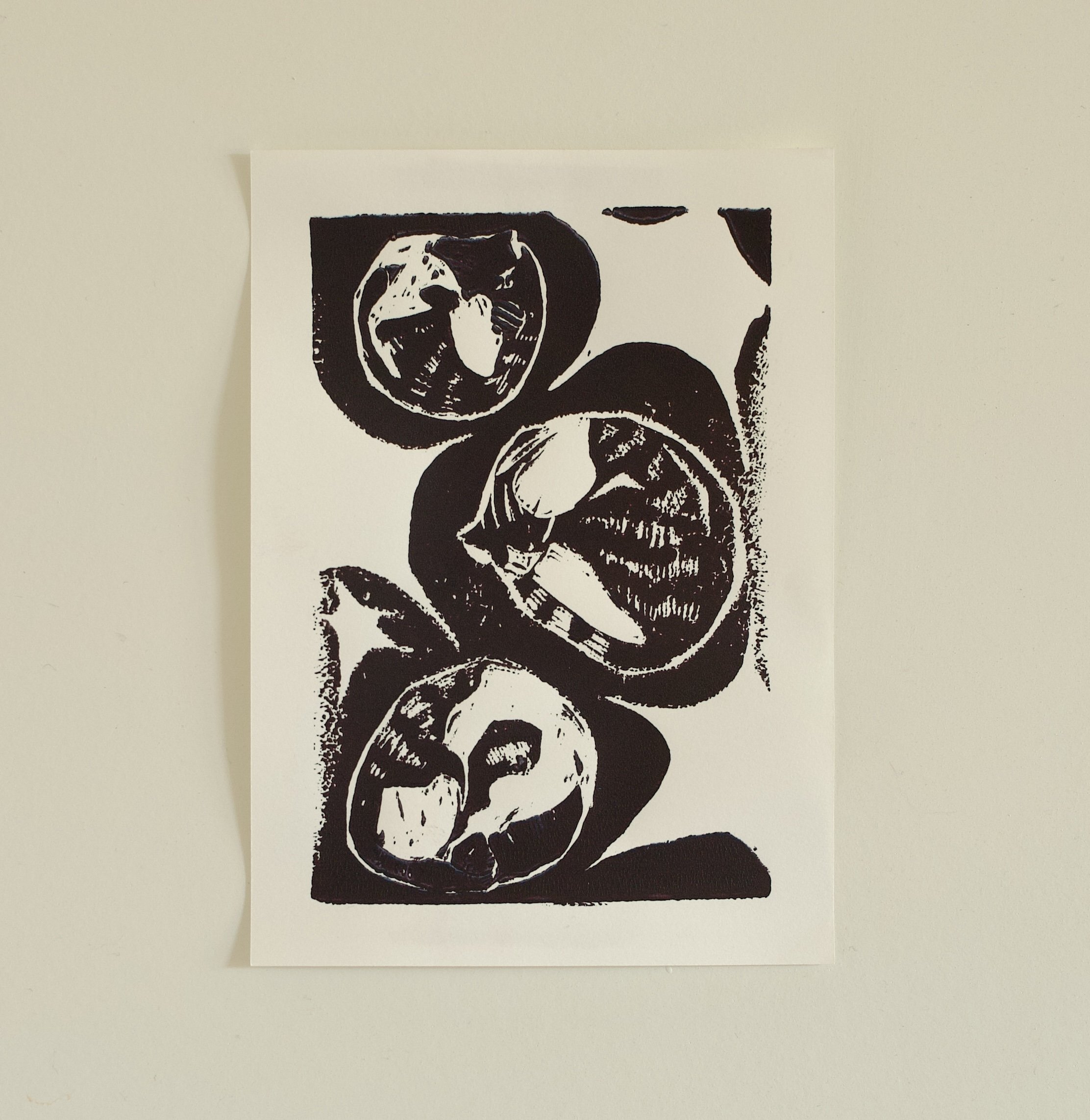 sleeping cat print