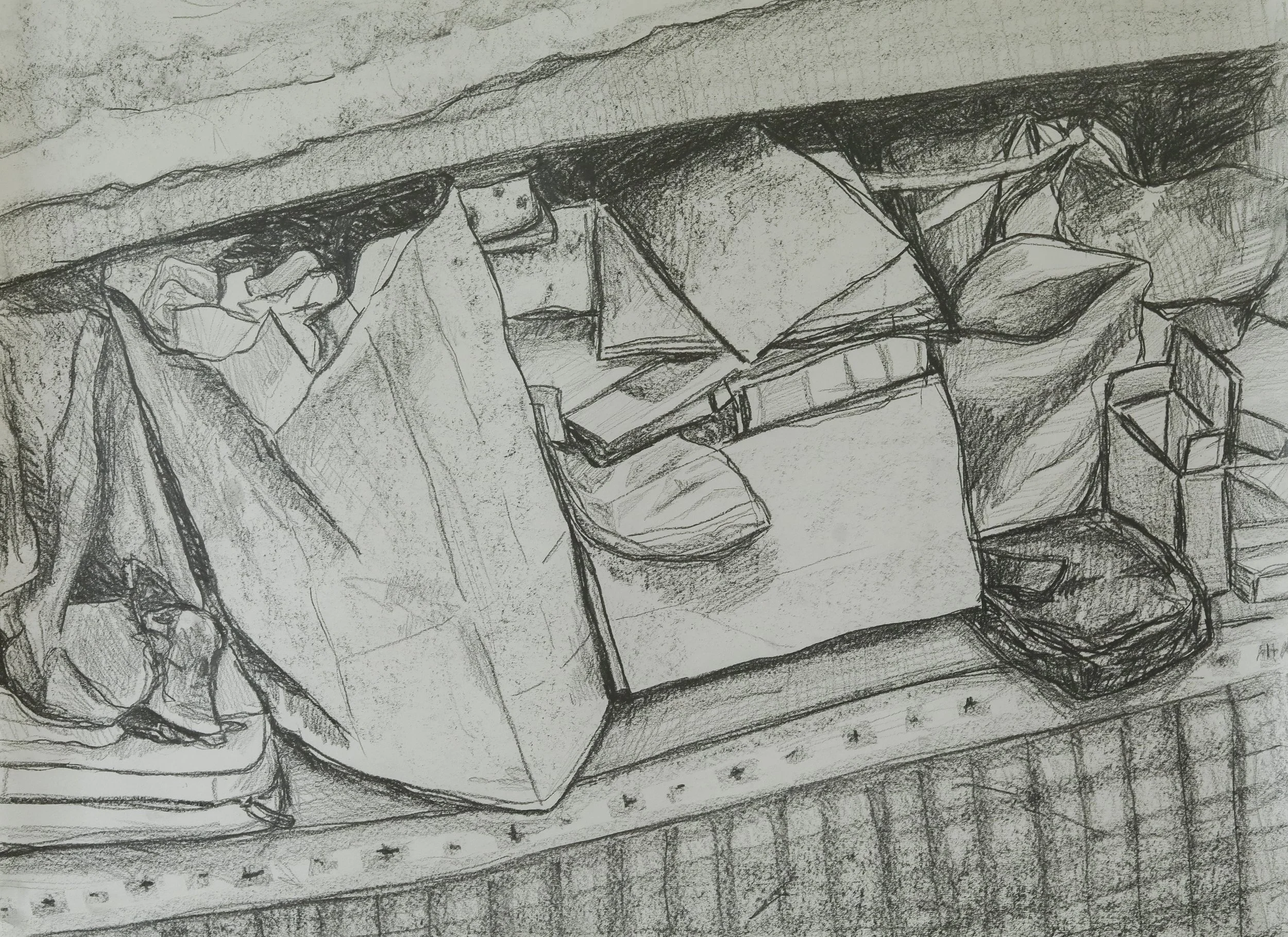 IMG_8396.jpg