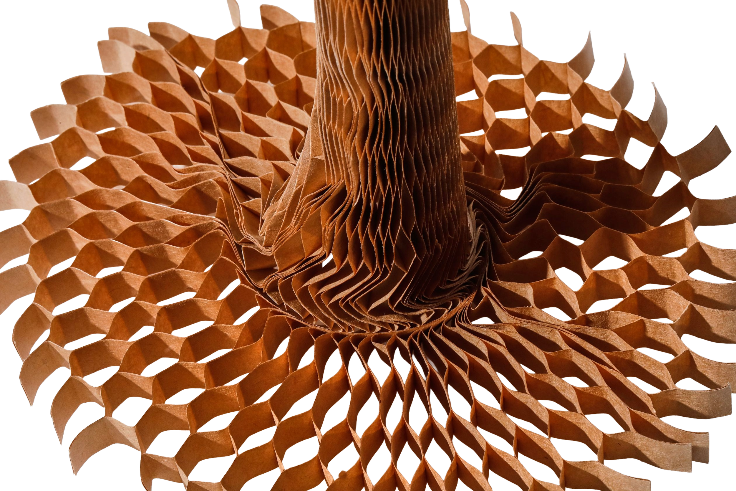 Copy of 1363803.88.png