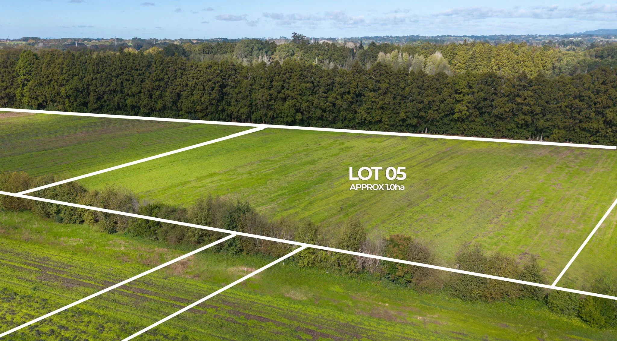 2-web-or-mls-IMAGE 04-.jpg