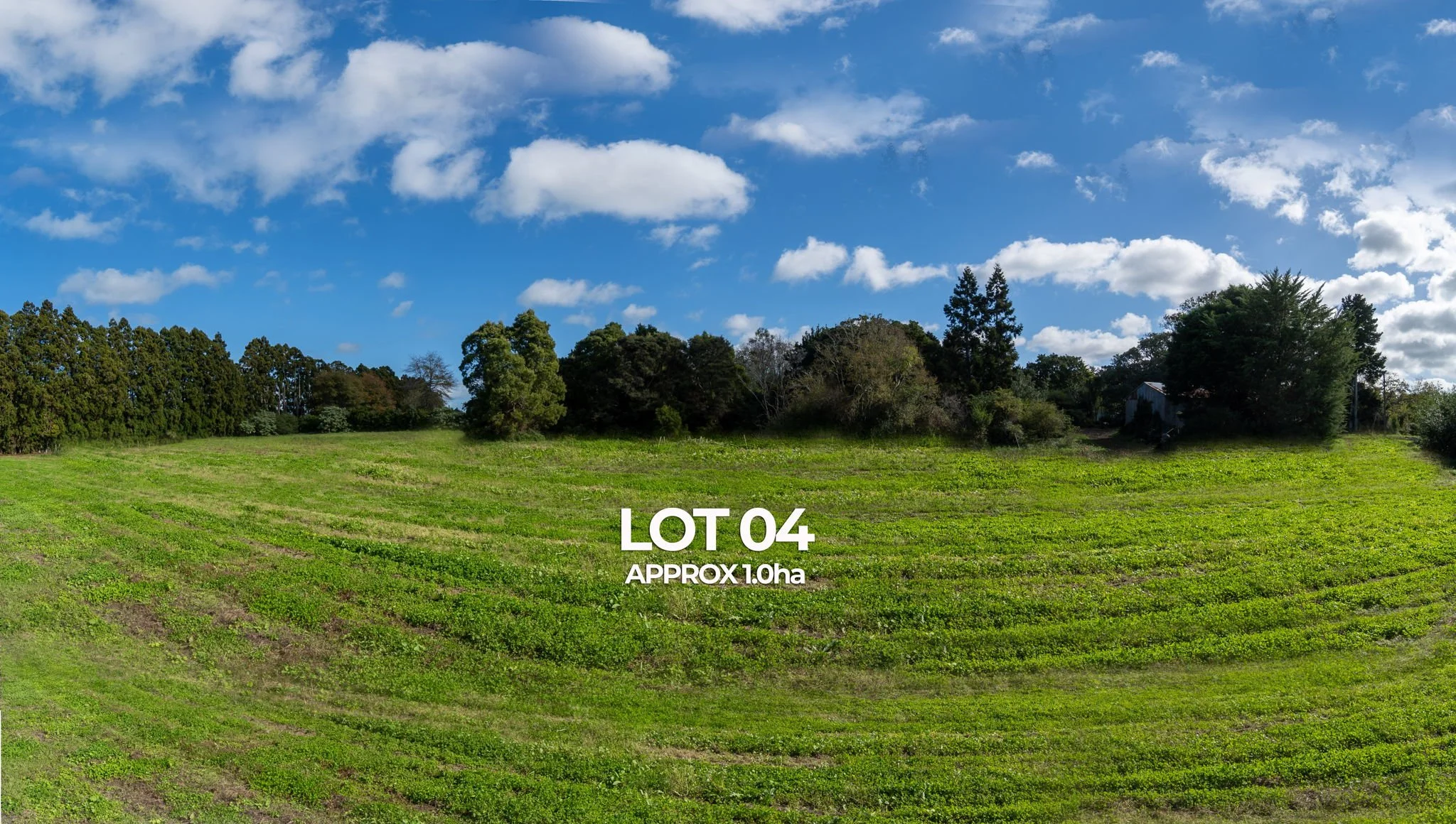 6-web-or-mls-IMAGE 11-2.jpg