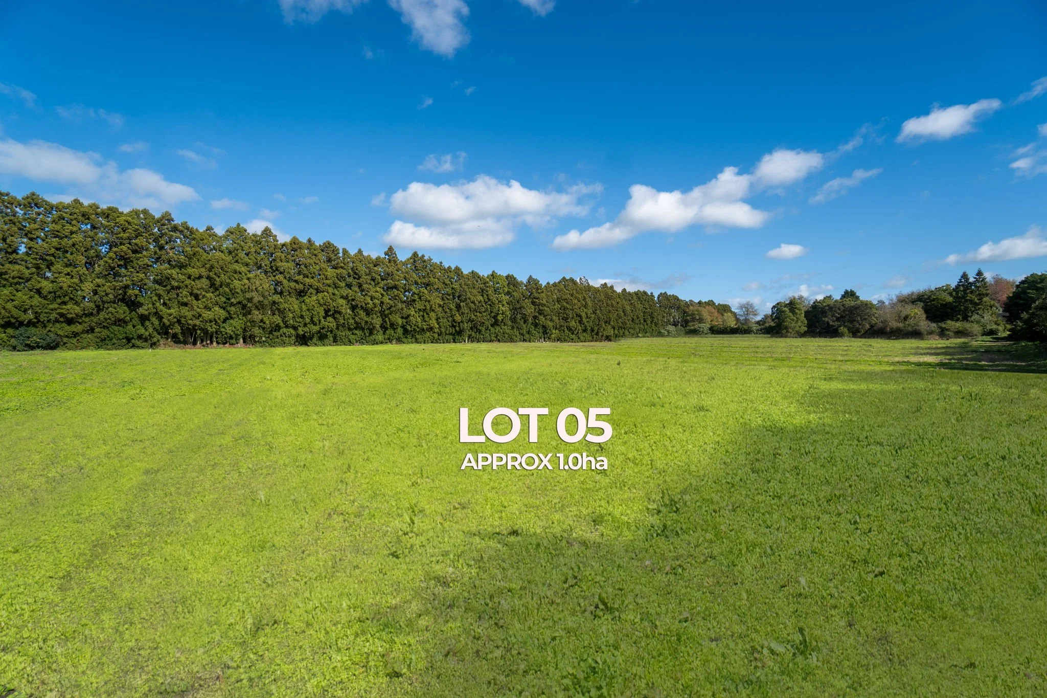 7-web-or-mls-IMAGE 14-2.jpg