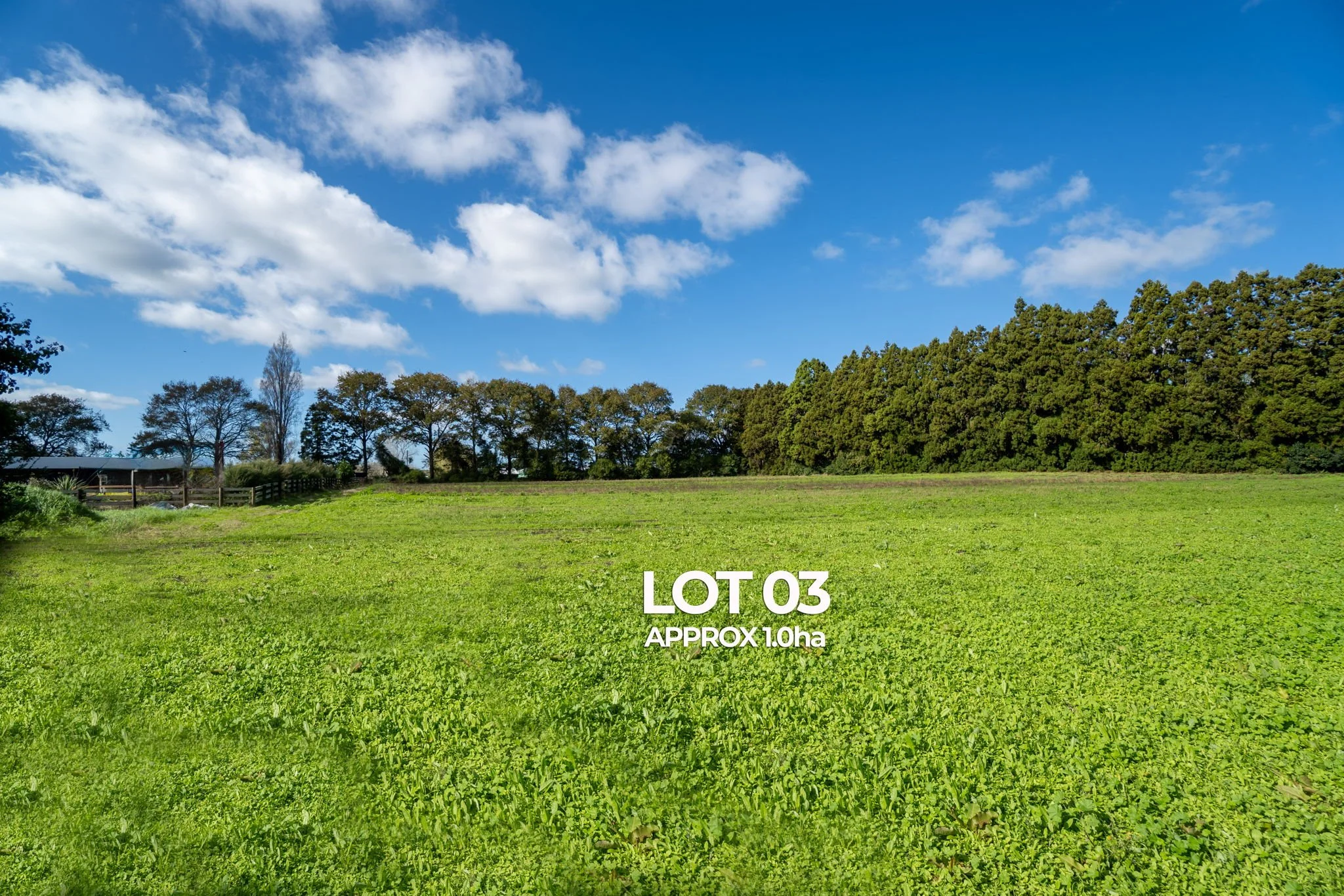 11-web-or-mls-IMAGE 13-2.jpg