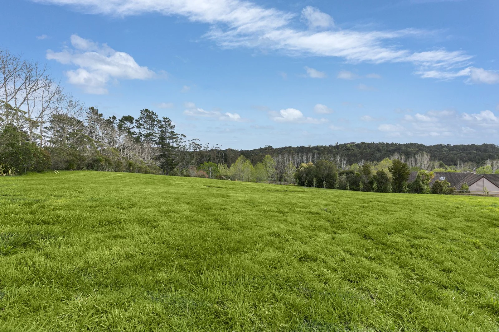 001_Open2view_ID598973-41_Robinson_Road.jpg