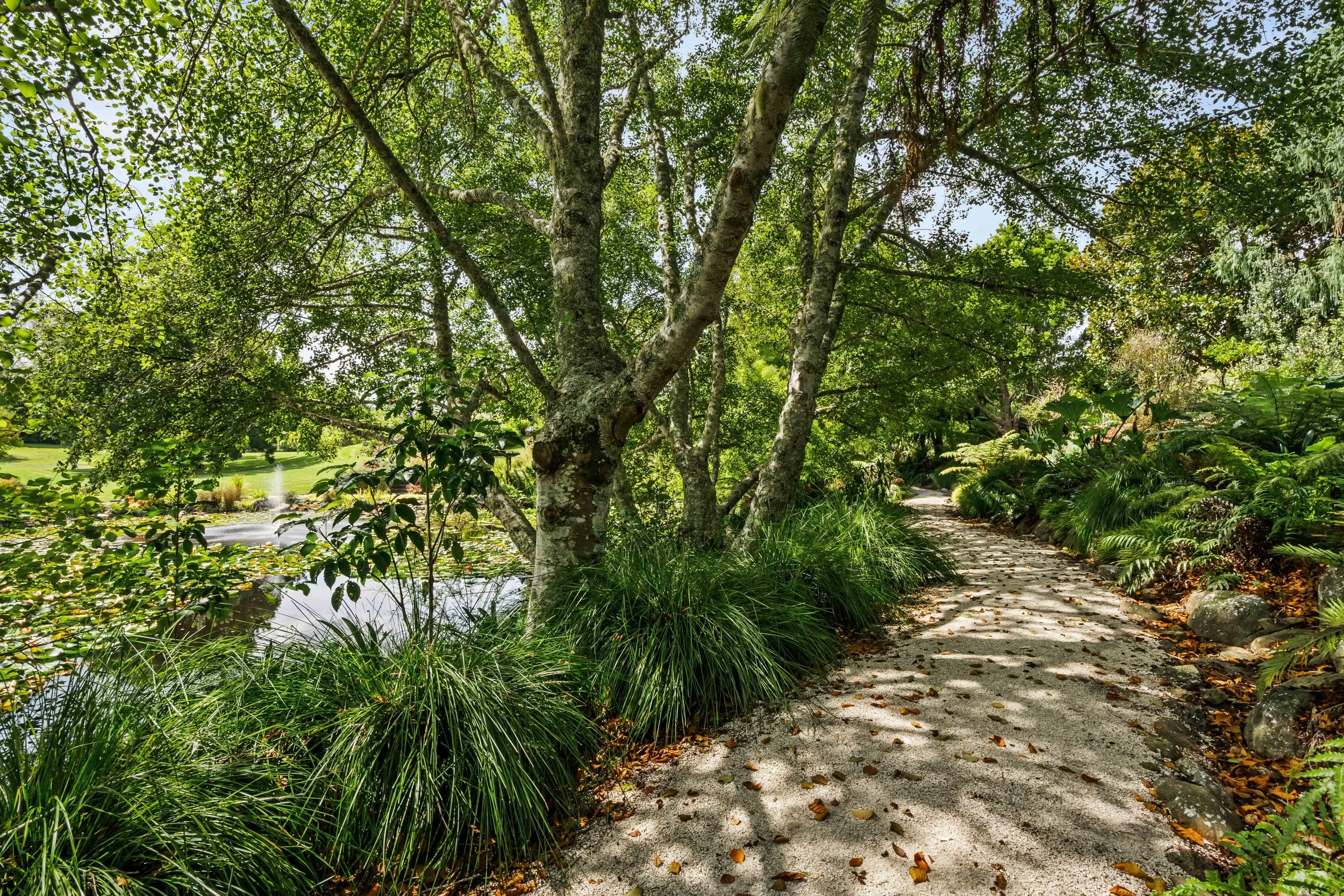 Less than 3MB 109 Glenmore Road-100.jpg