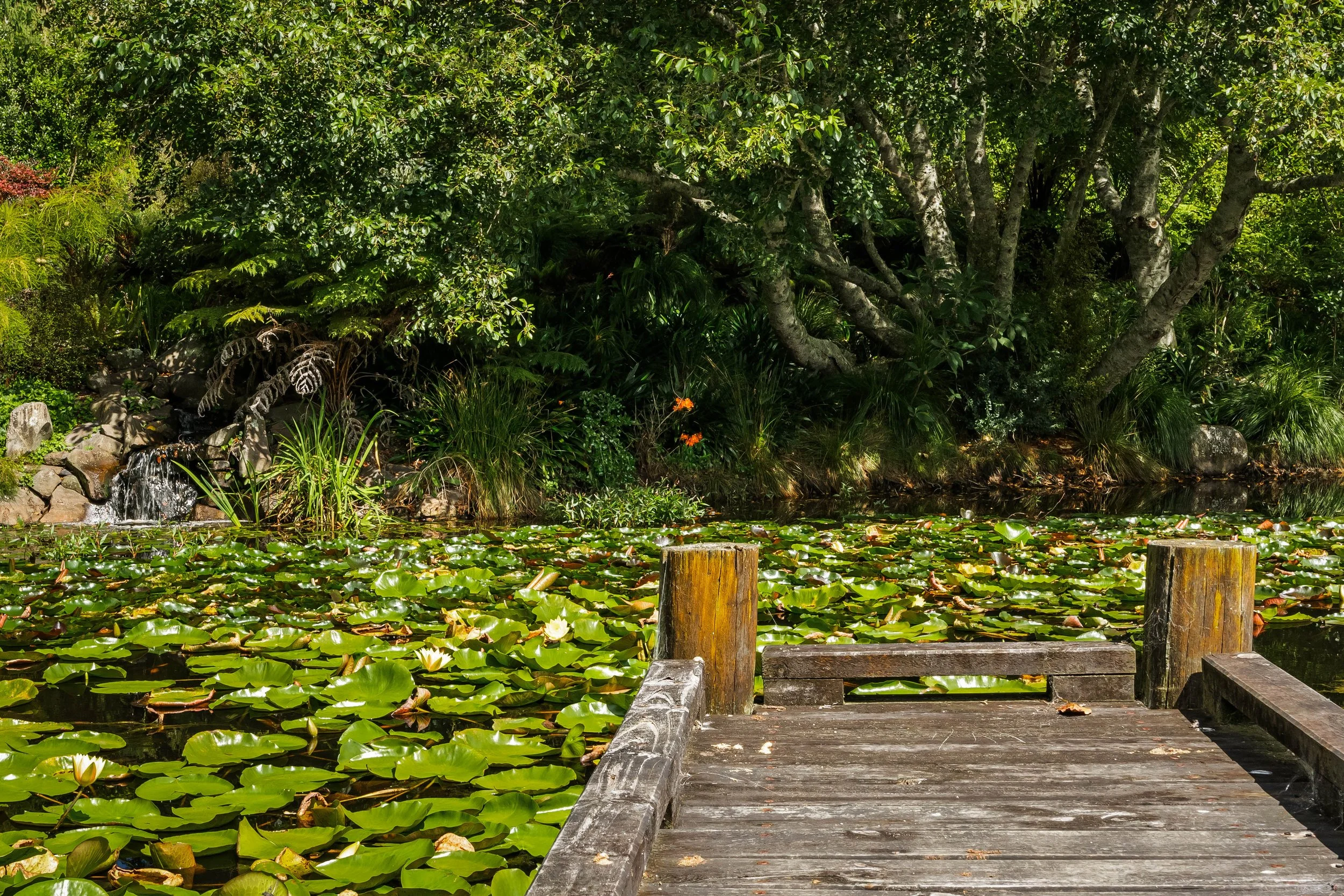 Less than 3MB 109 Glenmore Road-104.jpg