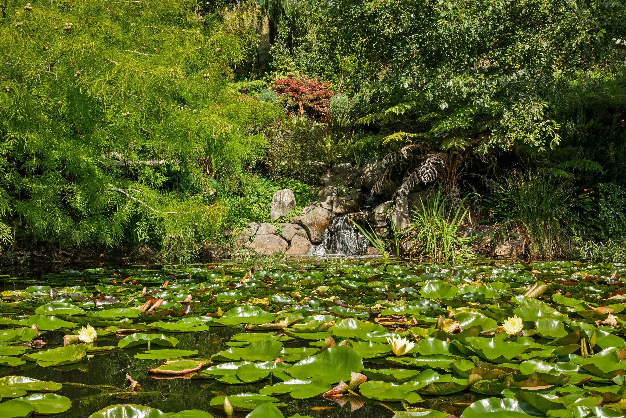 Less than 3MB 109 Glenmore Road-105.jpg