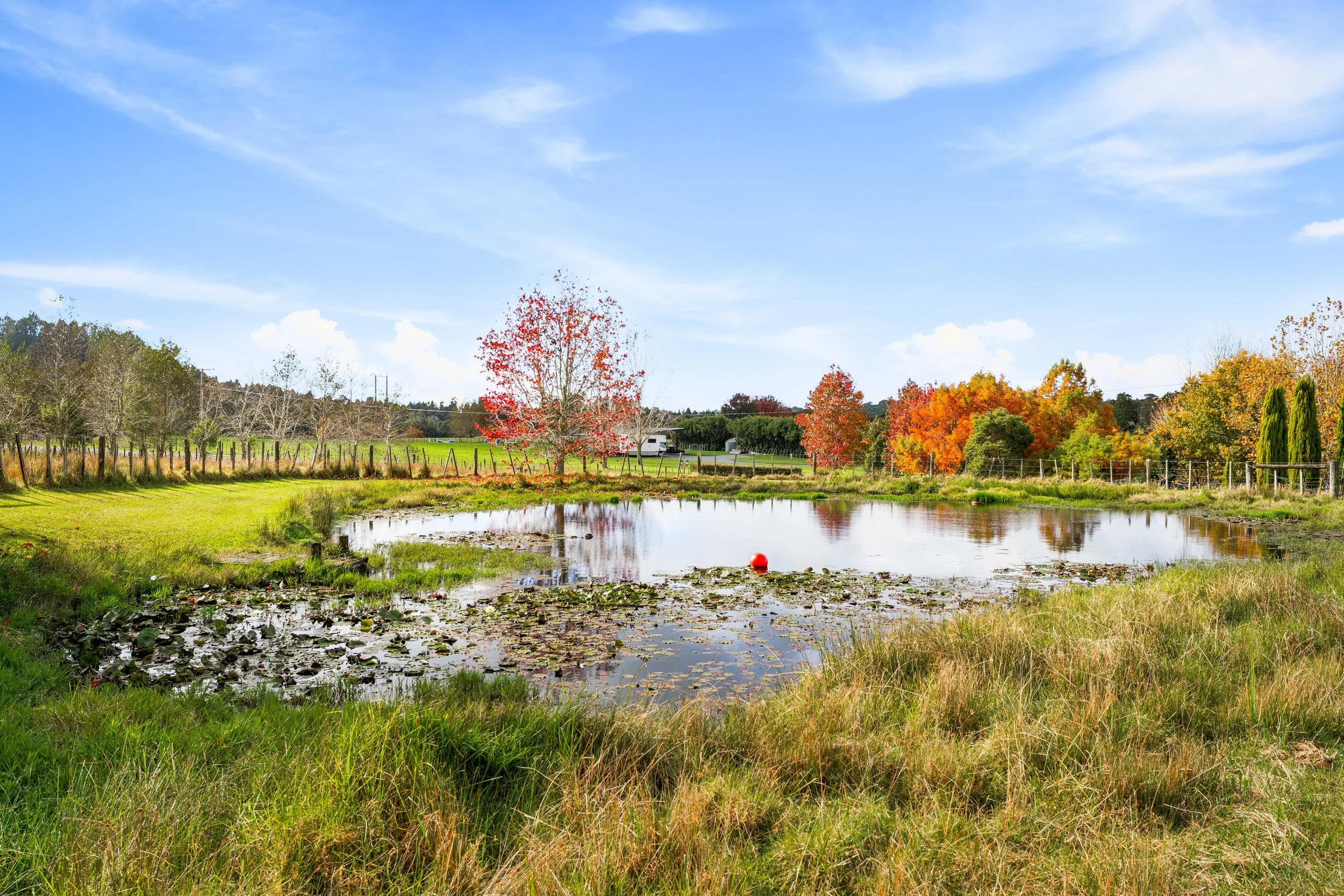 Less than 3MB 84 Three Oaks Drive-1.jpg