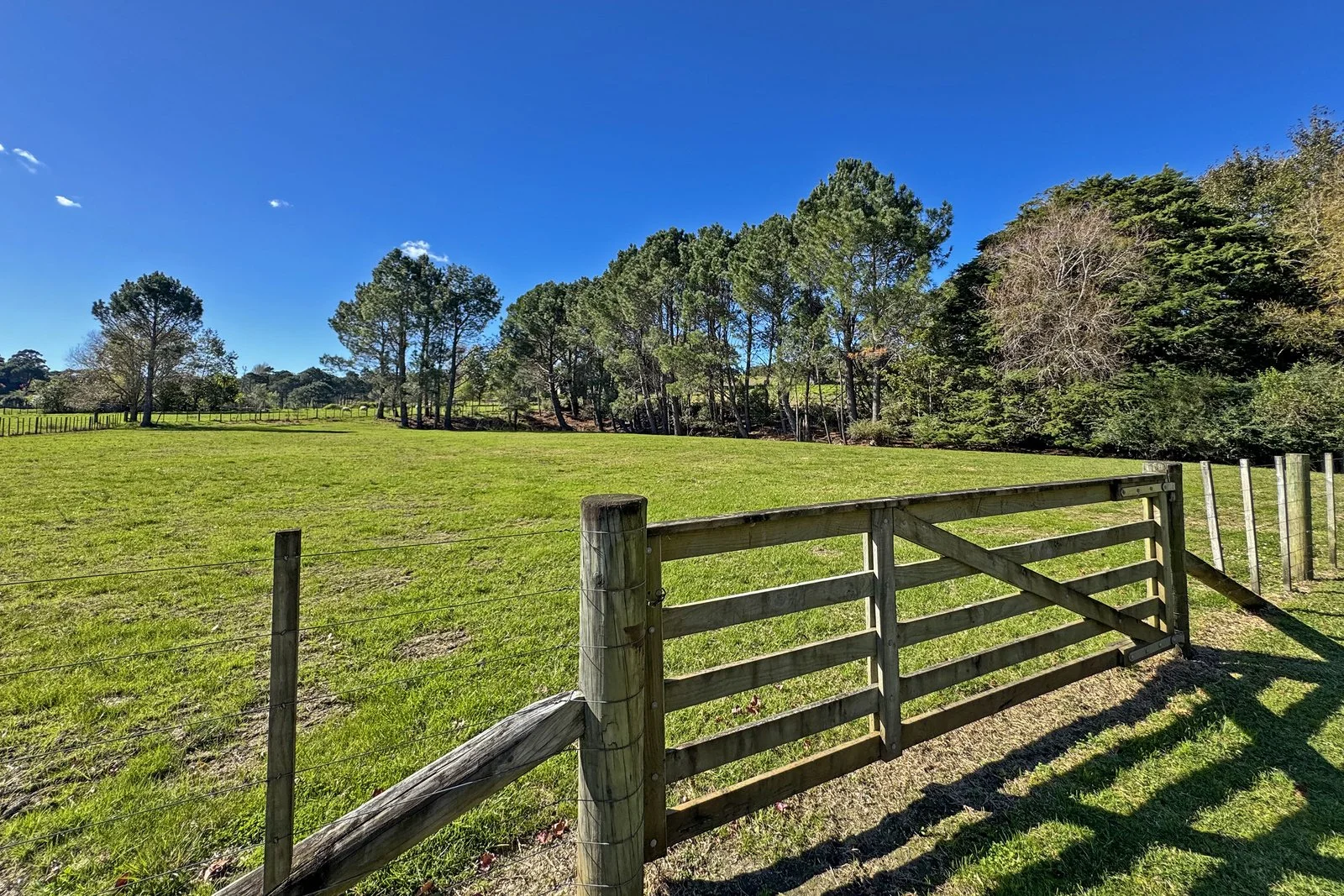 007_Open2view_ID608456-828_Ridge_Road.jpg