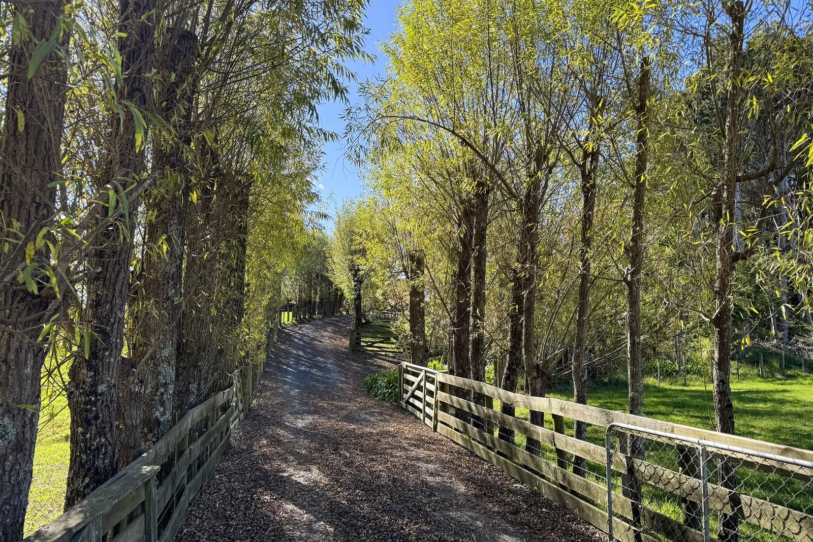 001_Open2view_ID608456-828_Ridge_Road.jpg
