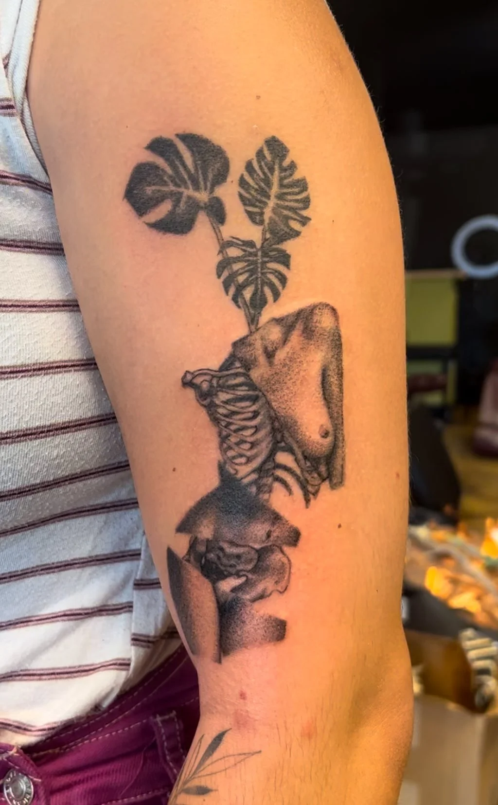 A black and gray tattoo on a person's upper arm featuring a skeletal ribcage and torso, with large monstera leaves above.