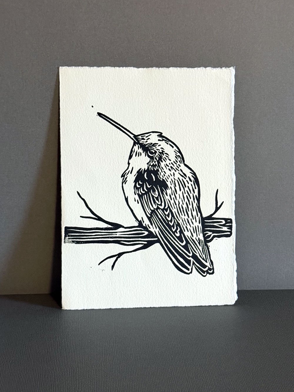 Hummingbird.jpg