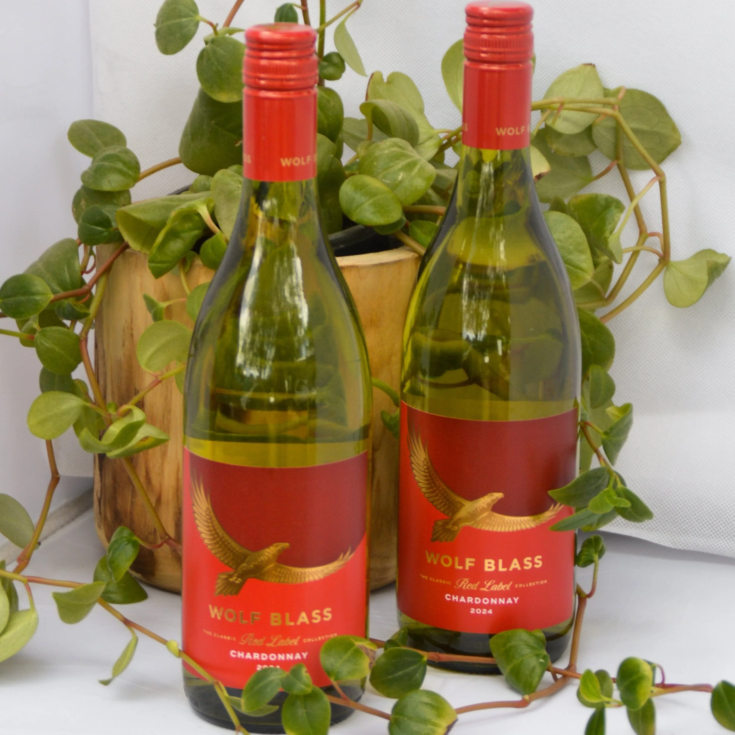 Chardonnay