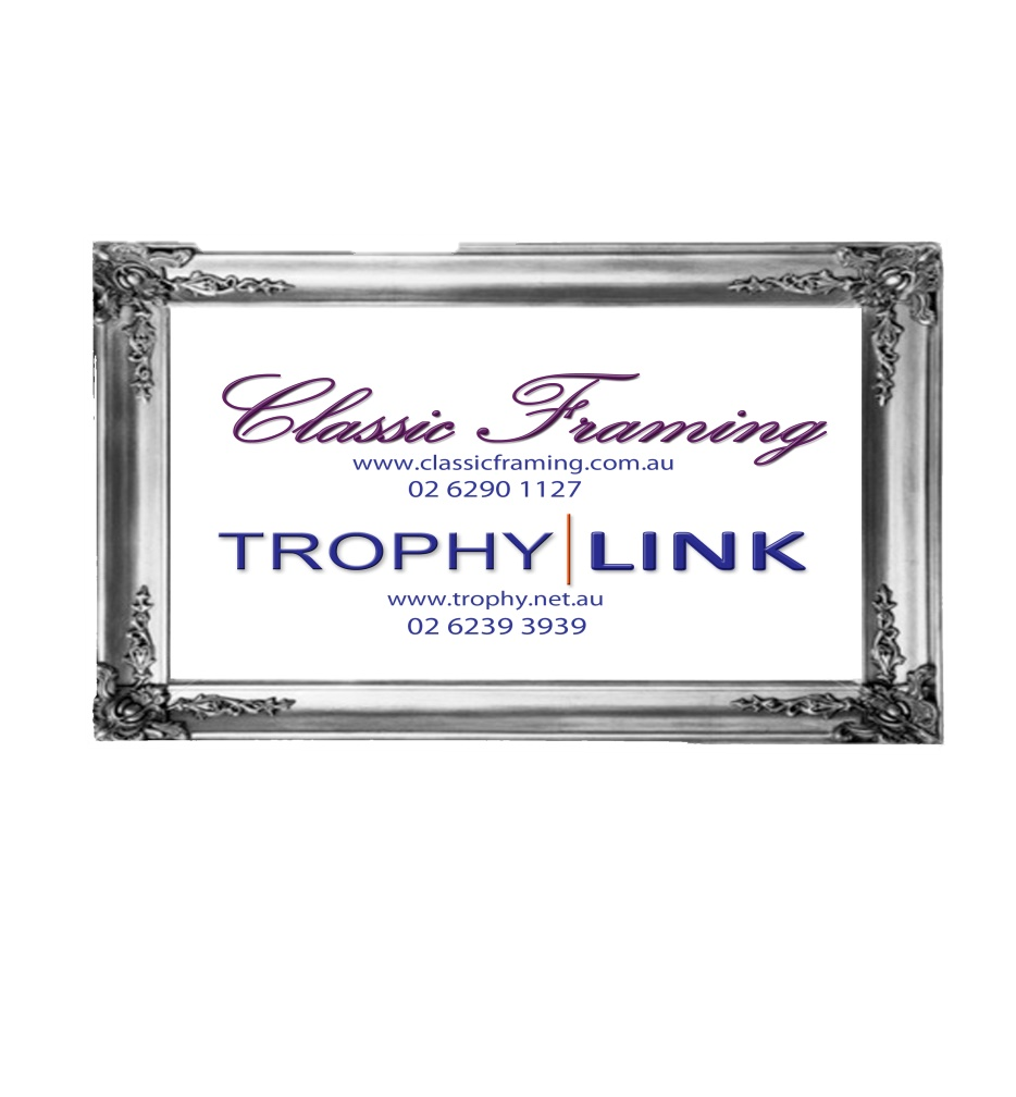 Trophy Link.png