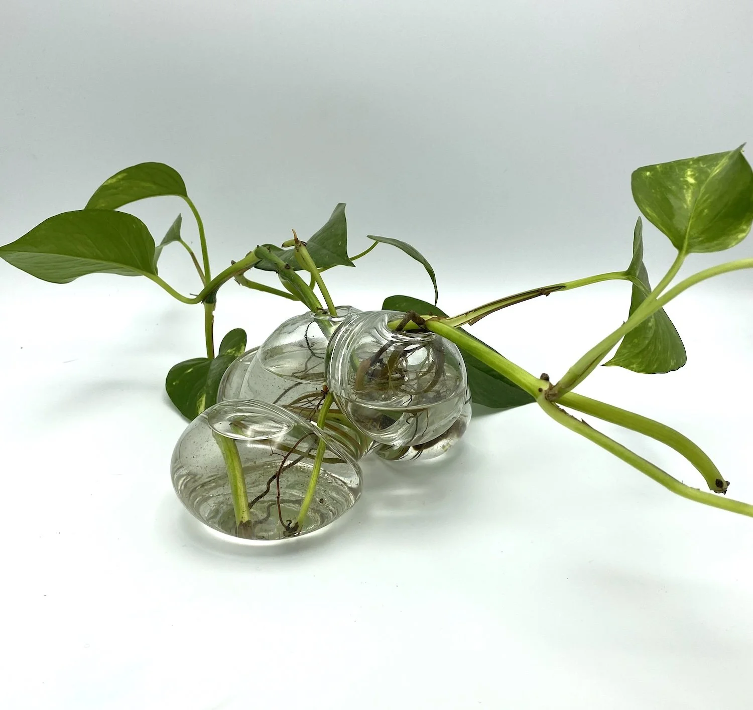 Molly Jo Burke Prop Vase 2.jpg