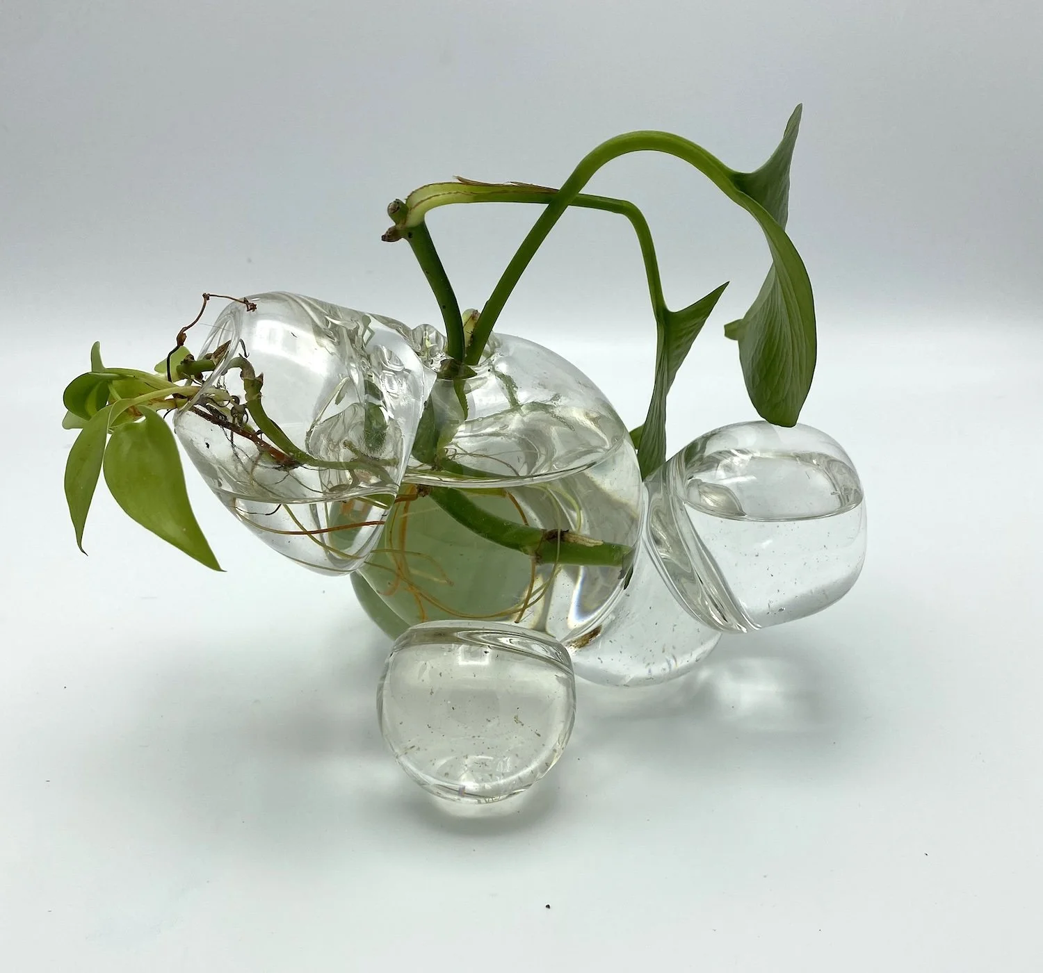 Molly Jo Burke Prop Vase.jpg