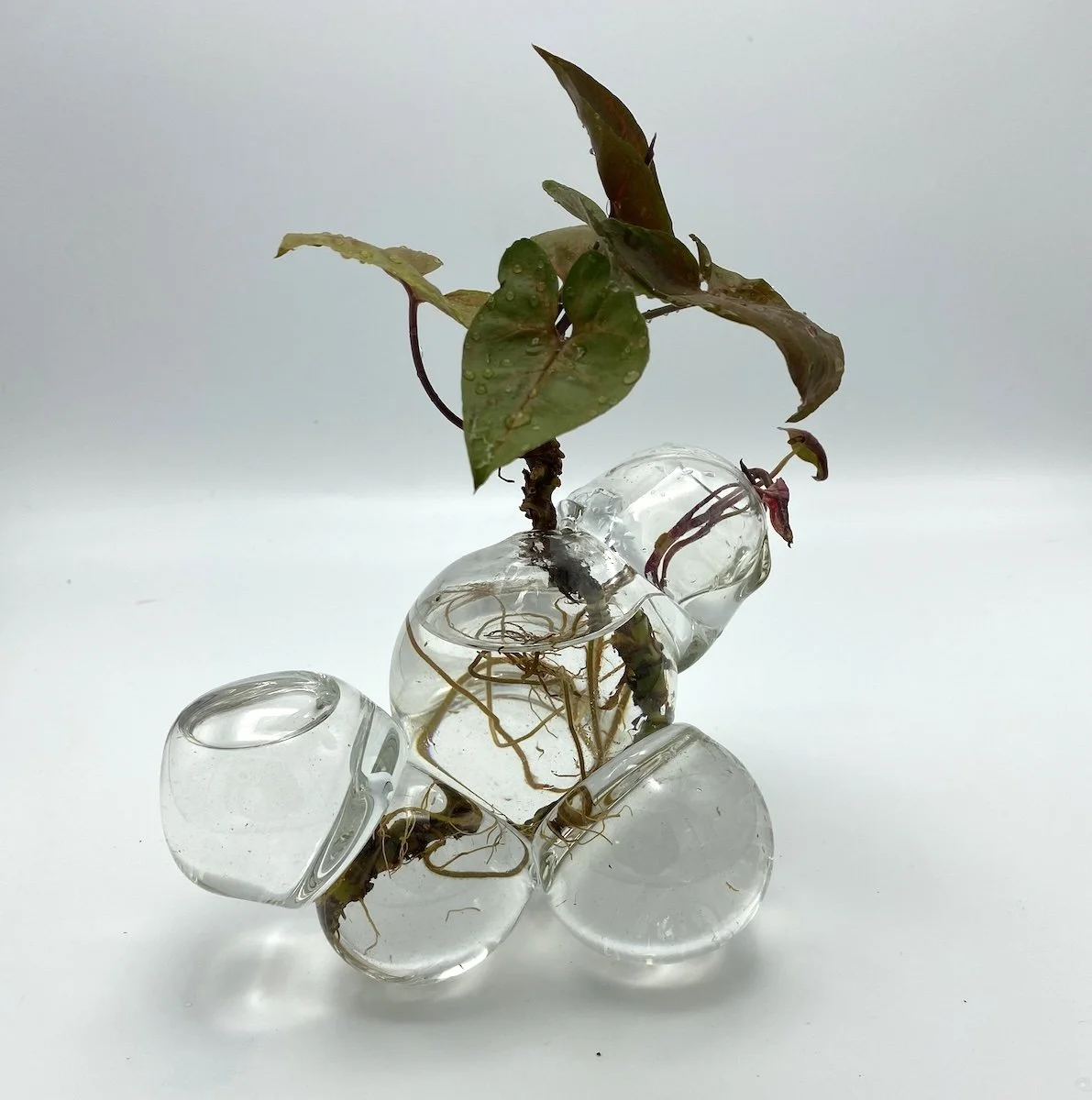 Molly Jo Burke Prop Vase 3.jpg
