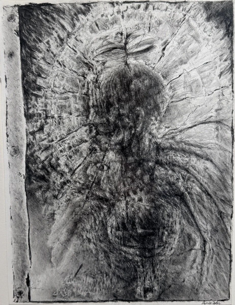 Alejandro Bellizzi Paracosm.jpeg