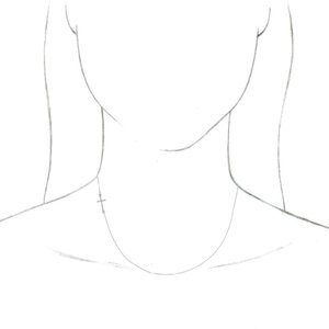 74643530