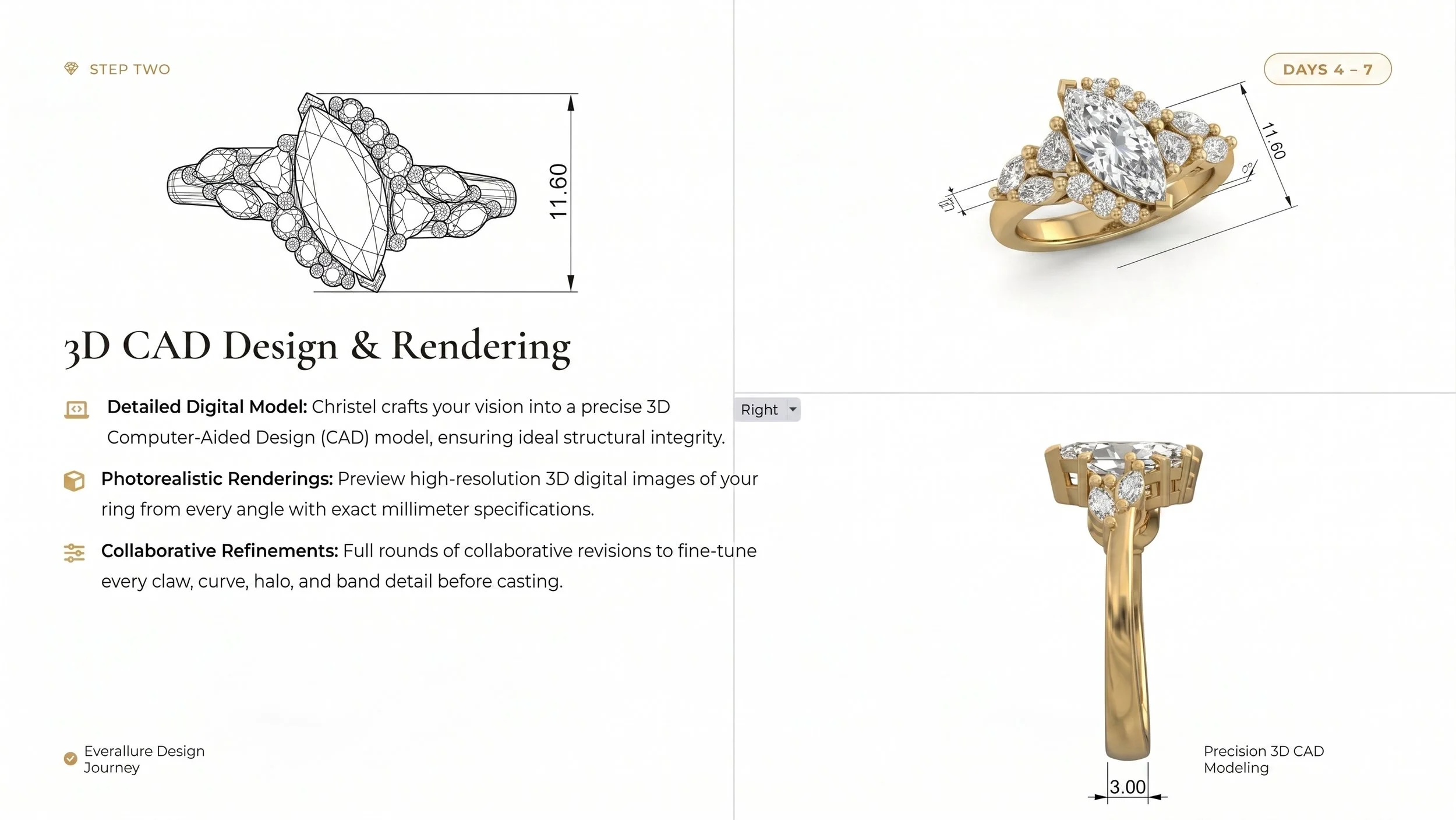 3D CAD Design & Renderings