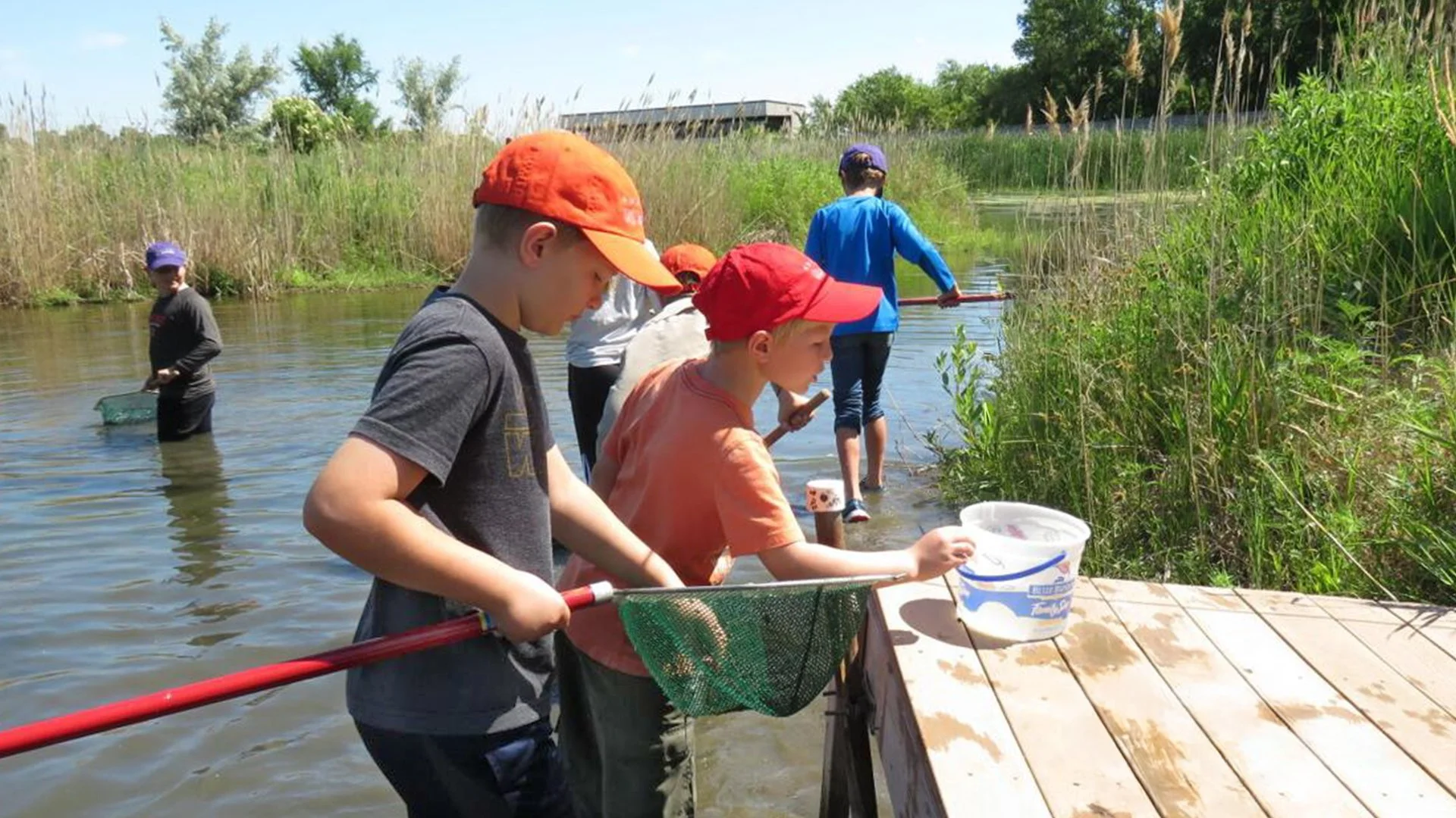 Iain Nicolson Audubon Center_05.jpg