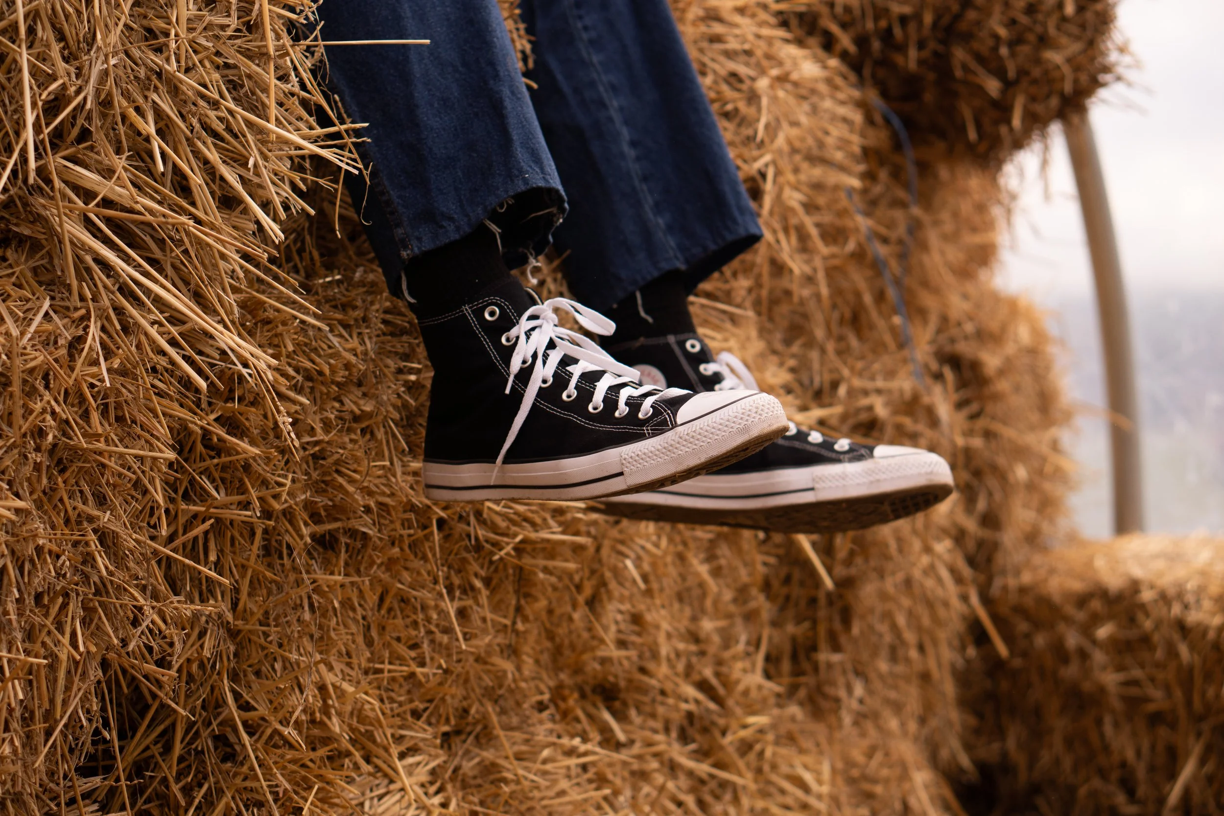 DMJ04983.jpg