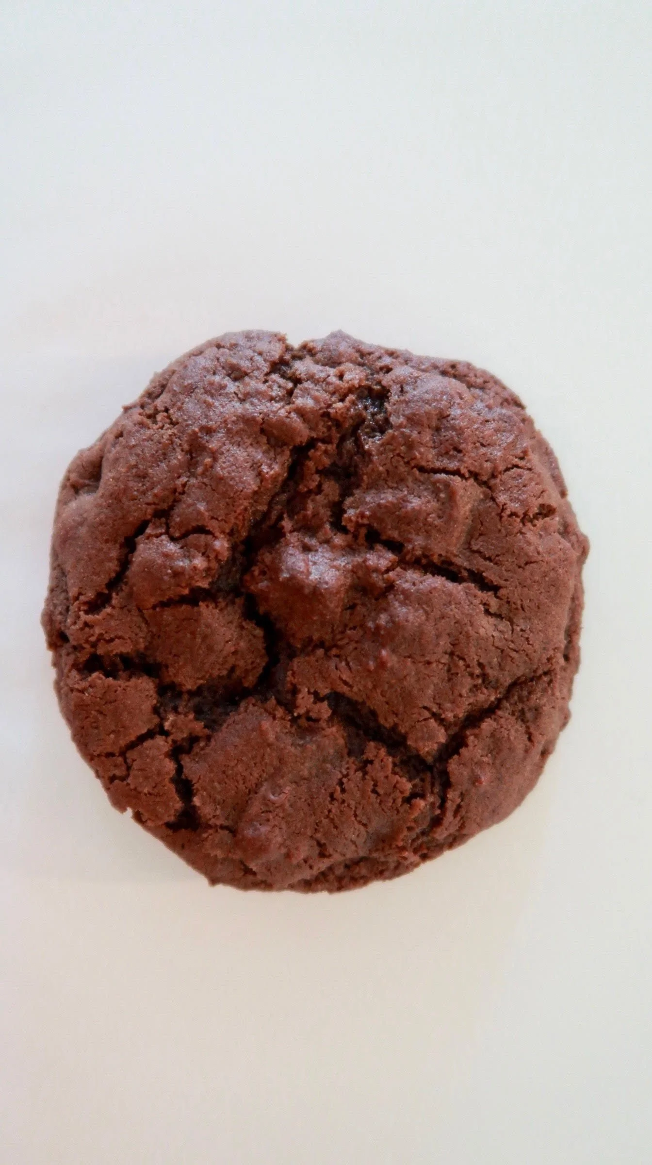 Prof brownie.jpg
