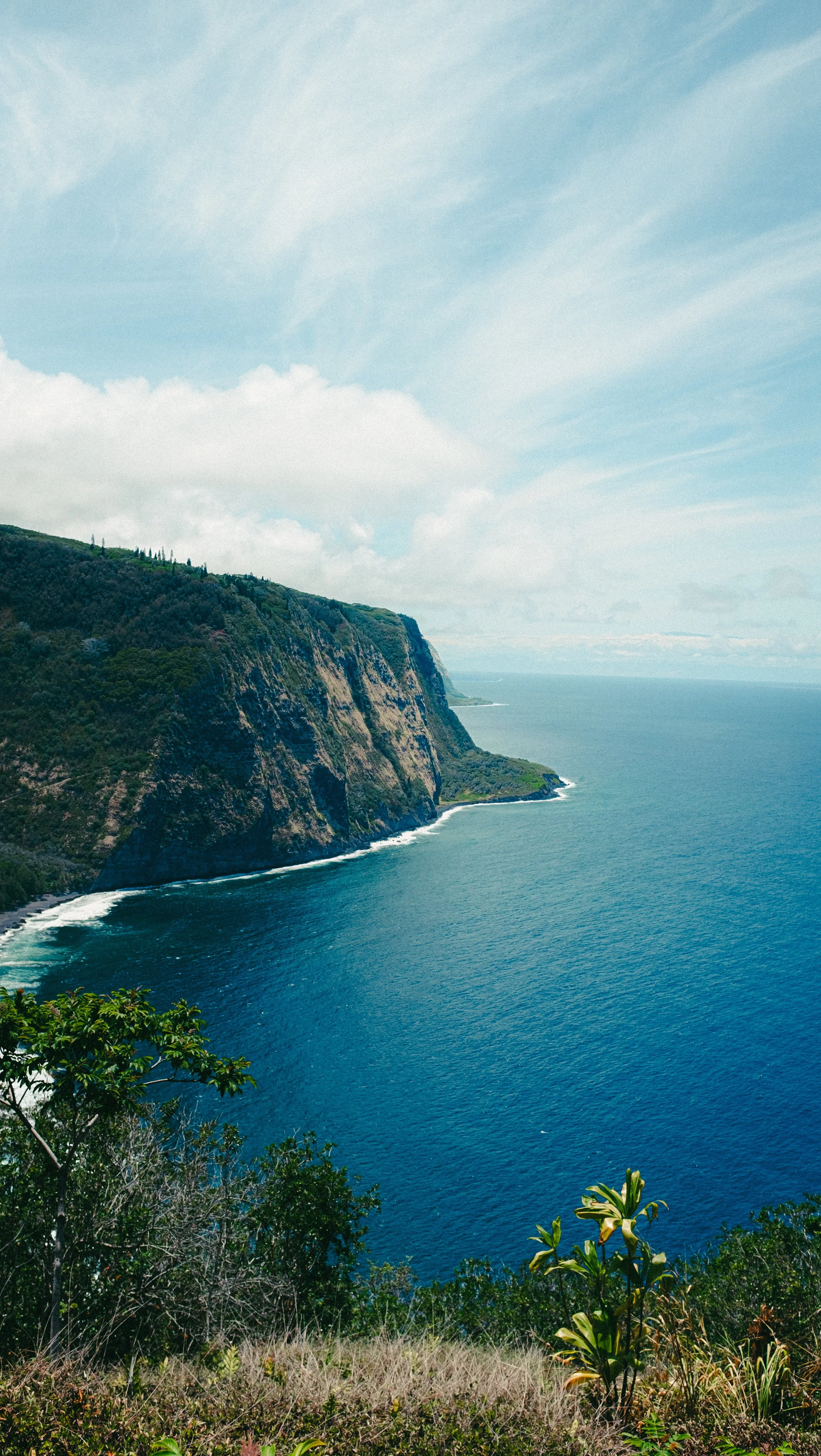 Cliffs overlooking the ocean with greenery in the foreground and cloudy sky.
