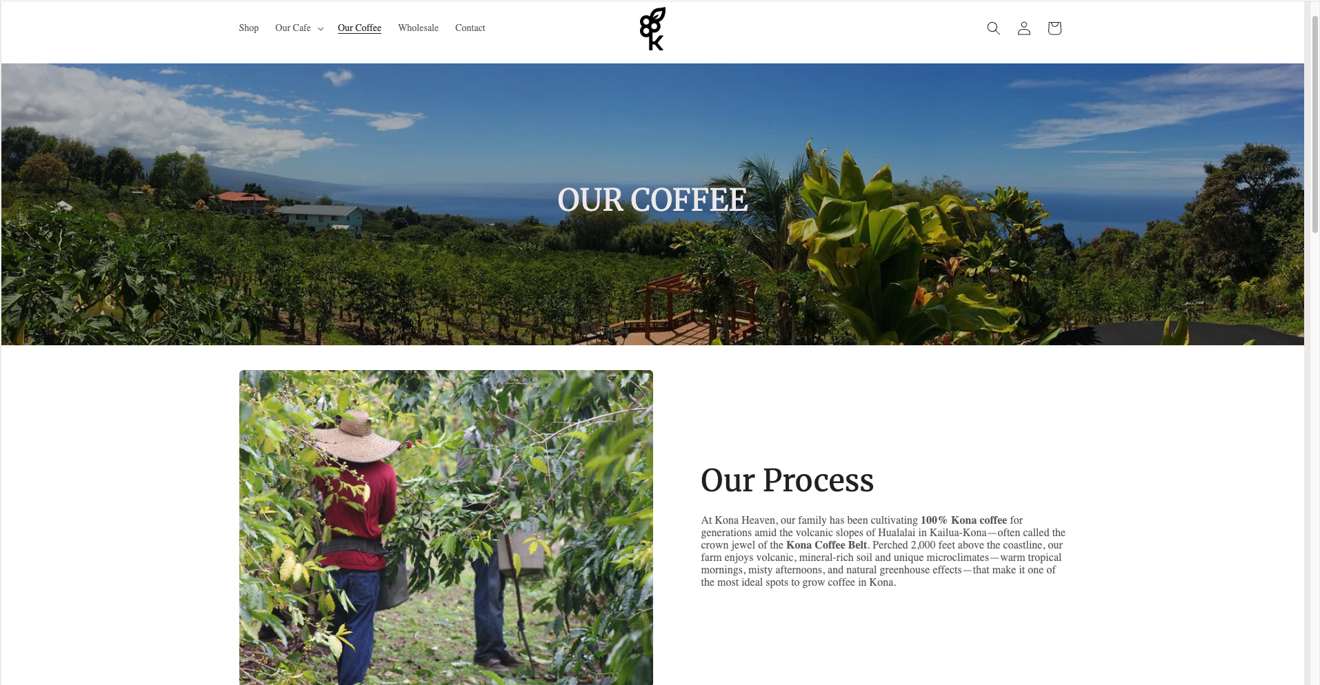 Scenic view of a lush coffee farm with green trees, a hilltop, and the ocean in the background, with a clear blue sky and scattered clouds.