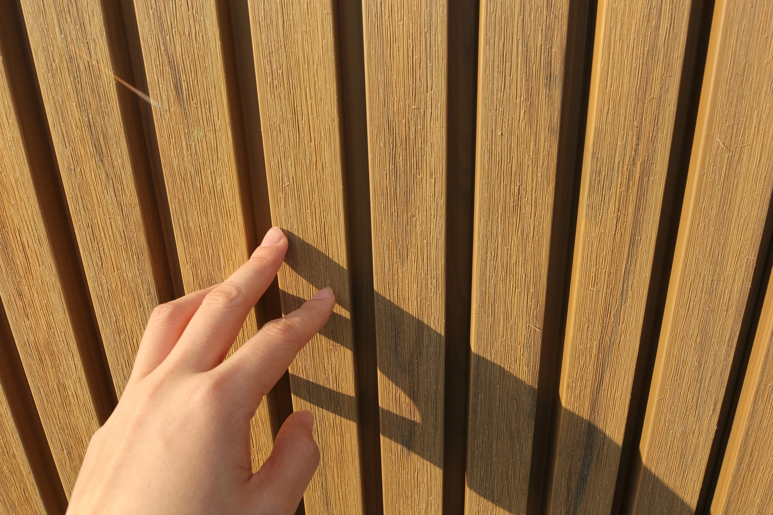 CPF-03 Brus& Napping surface (6).jpg