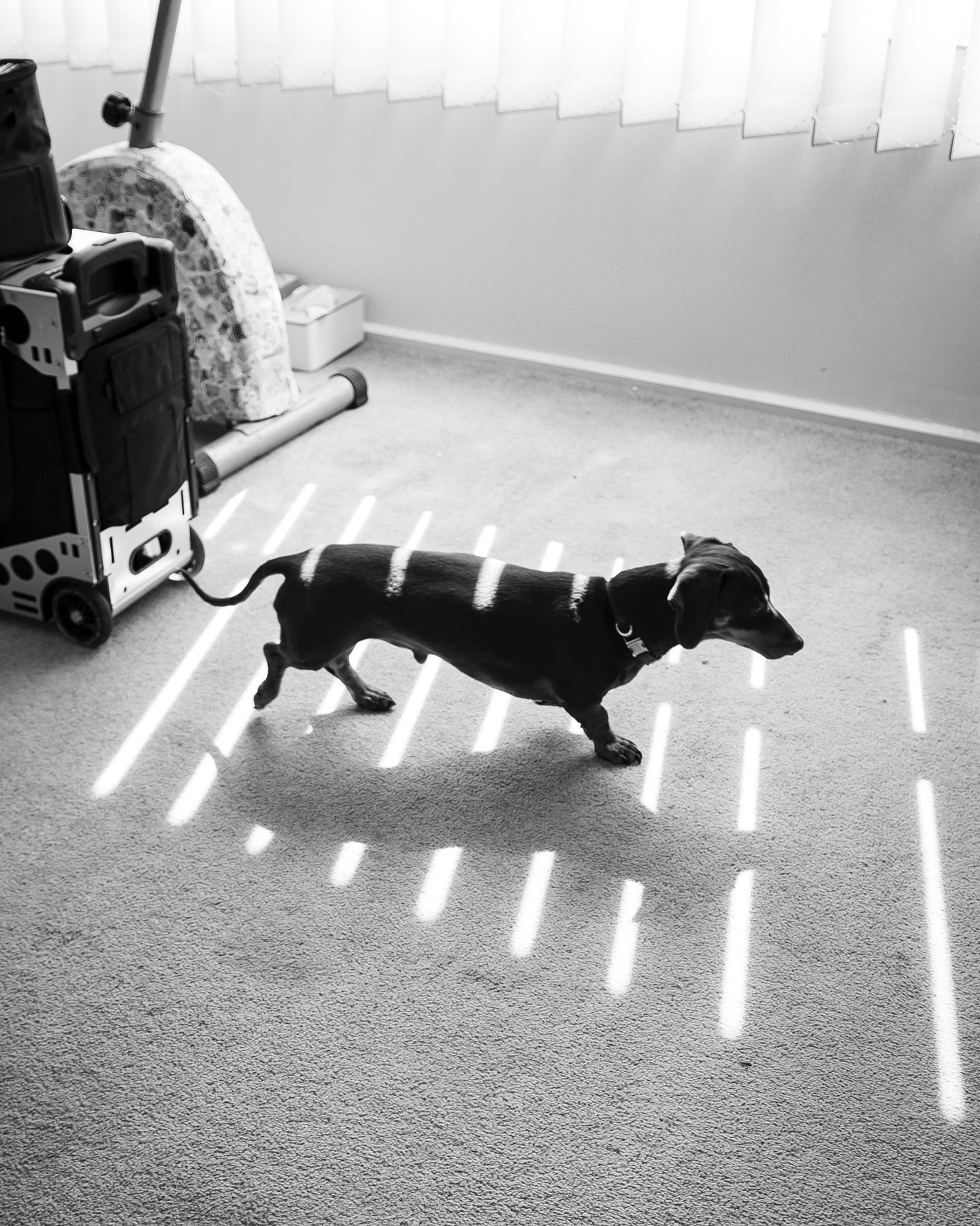 Getting ready&hellip;

@ashwhite.co 

#weddingseason #melbourneweddingphotographer #weddingphotography #weddingphotographer #melbourneeventphotographer #eventphotographer #documentary #documentaryweddingphotography #documentarywedding #weddingdocumen