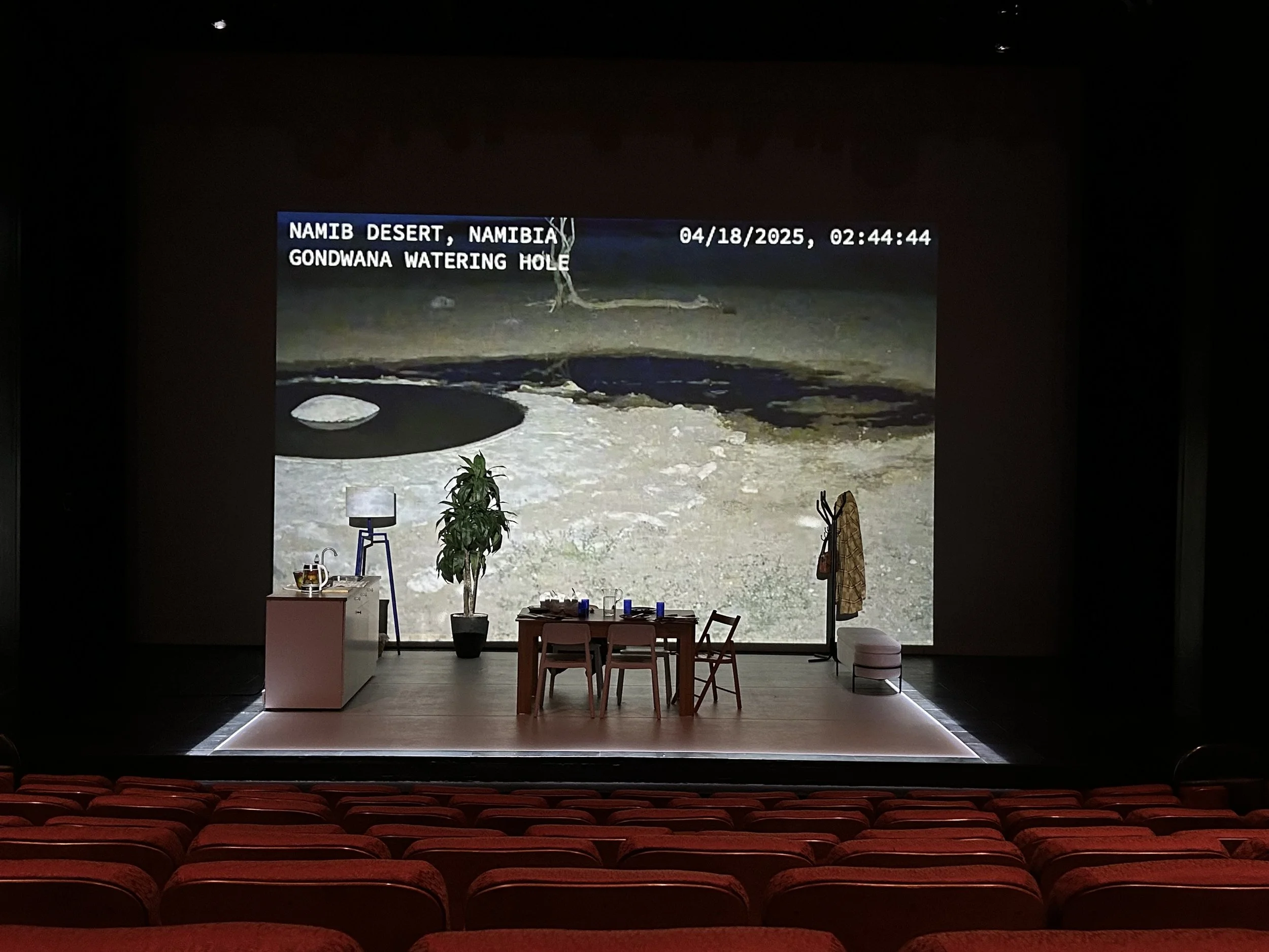 Livestream of a watering hole in Namibia