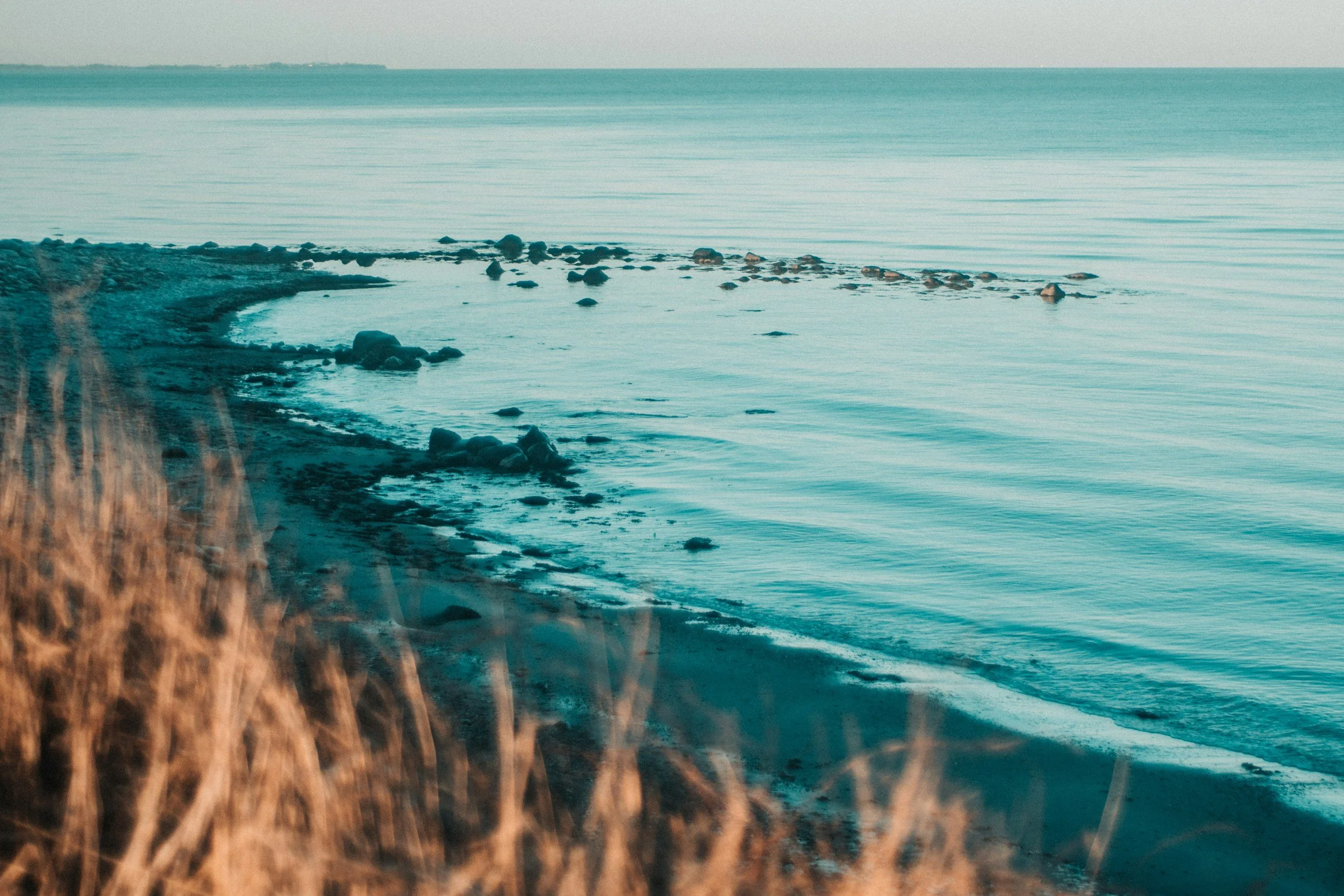A tranquil coastal scene with calm ocean water, a rocky shoreline, and dry grasses in the foreground, under a clear sky.