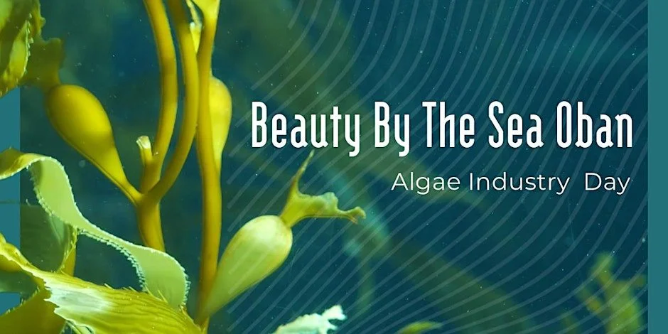 Beauty by the Sea