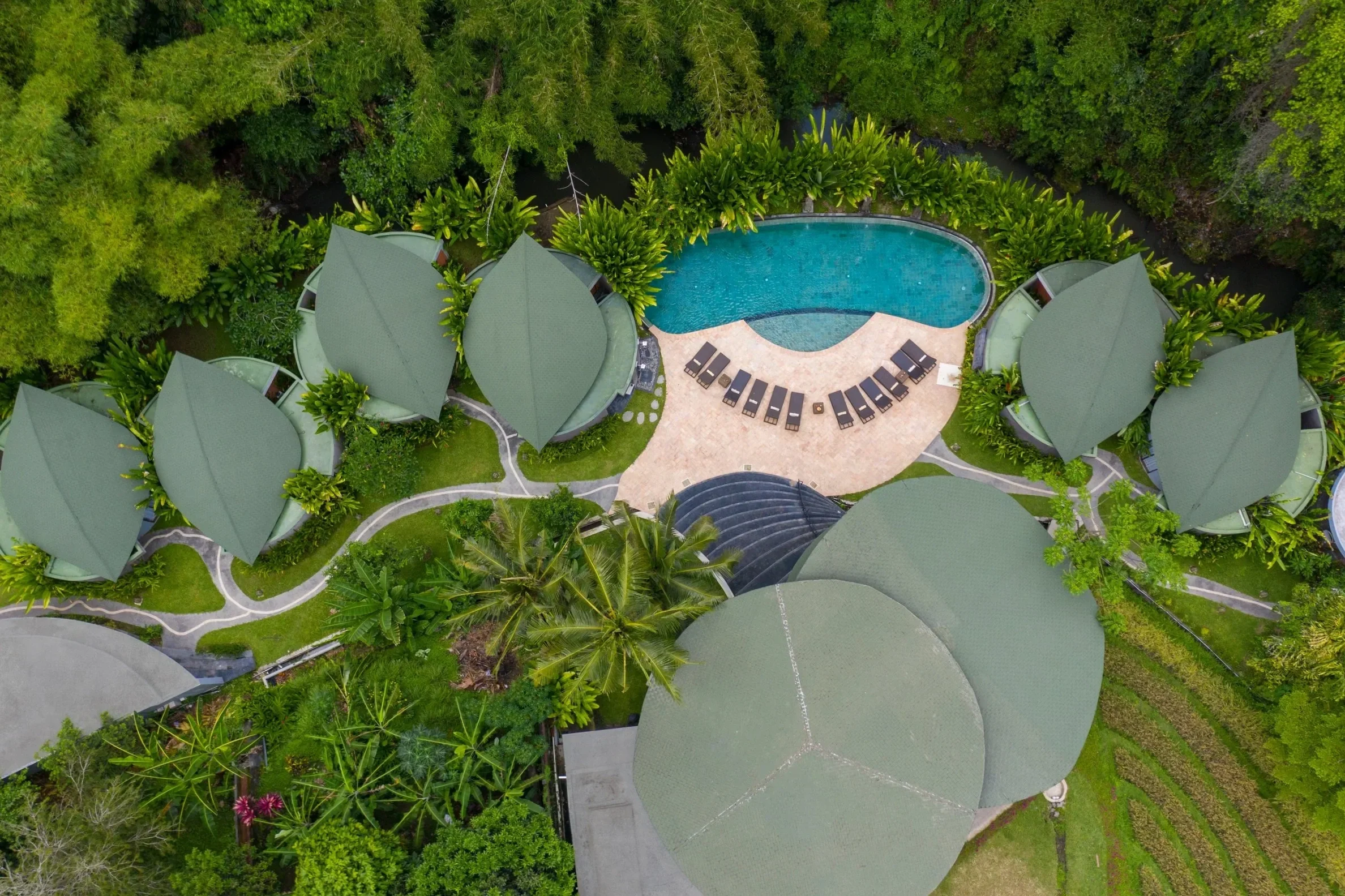 Aerial view of a resort with four green-roofed buildings, a swimming pool, lounge chairs, lush greenery, and trees surrounding the area.