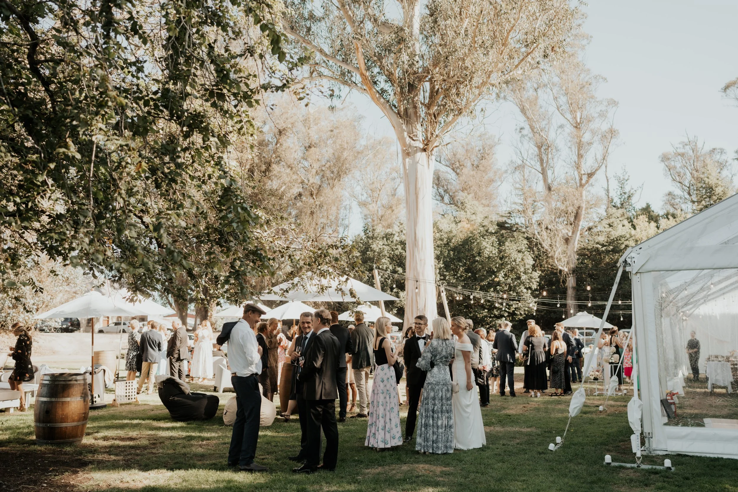 wedding guests with bride and groom mingling under eucalyptus trees from Rebecca and Fraser's wedding at Longbeach Estate photographed by Sarah Clements Photography