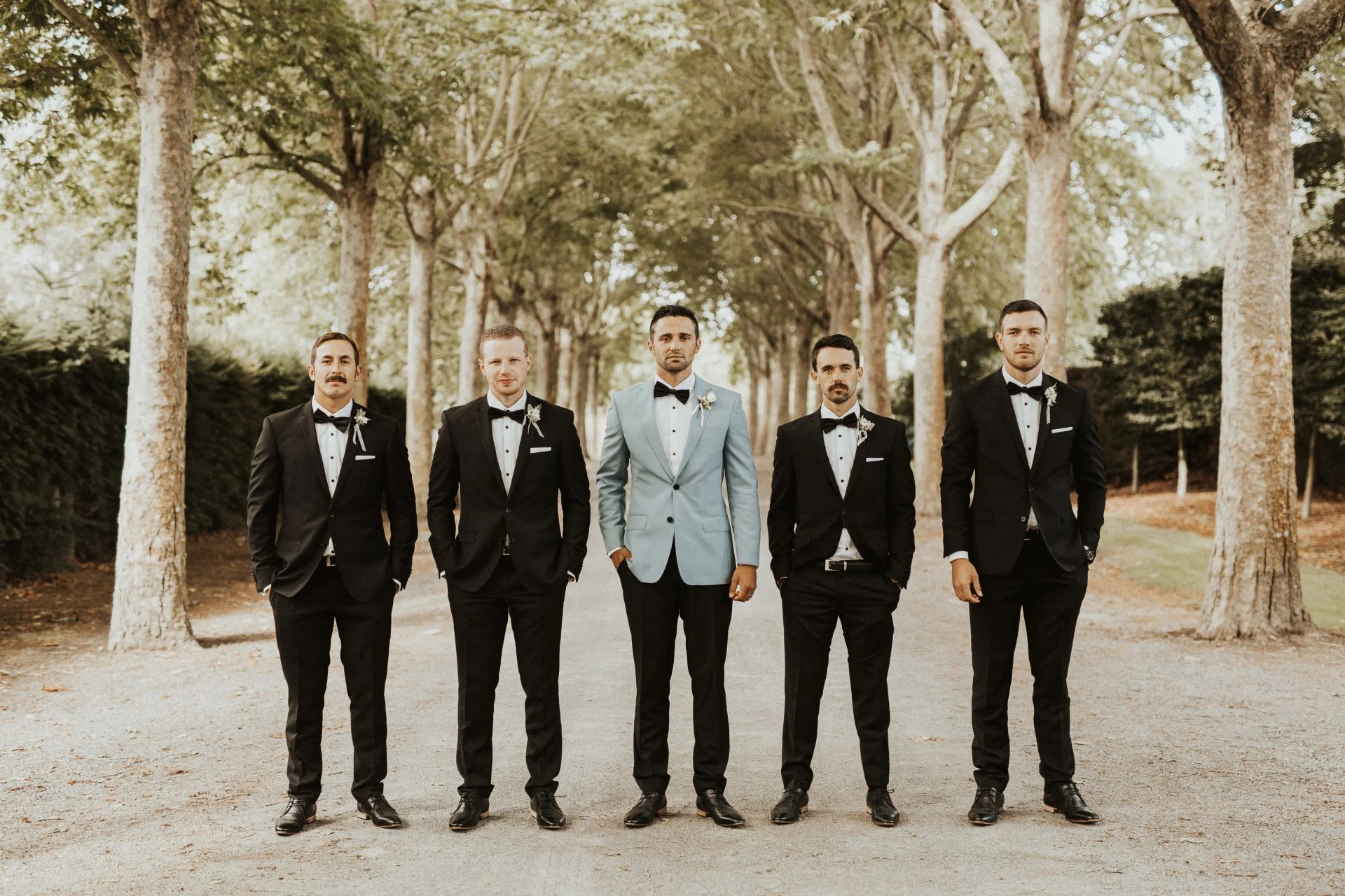 groomsmen and groom standing in tree lined lane from Charlotte & Byron's wedding at Trott’s Garden photographed by Charlotte Sowman Photography
